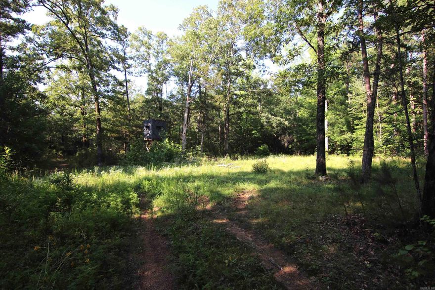 APPROX 4 ACRES M/L GREAT FOR HUNTING OR TO BUILD YOUR NEW HOME. SOME RESTRICTIONS, SOME UTILITIES AVAILBALE AT THE ROAD. FOOD PLOT FOR DEER, PROPERTY JOINS THE WHITE LINE FOR CHOCTAW CREEK! DEER STANDS DO NOT CONVEY. CHECK THIS ONE OUT TODAY BEFORE ITS GONE!