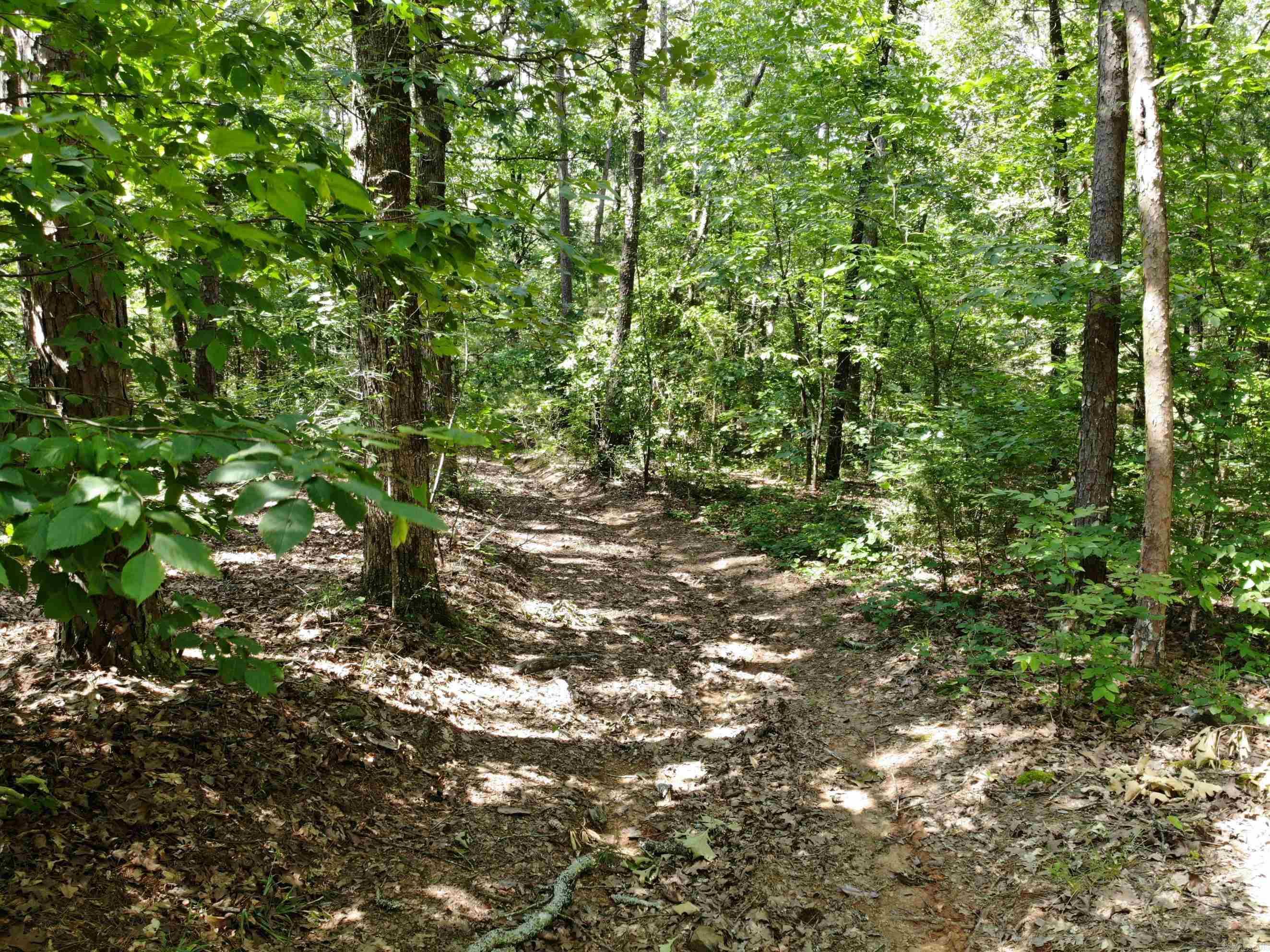 Deer Run Acres - Land