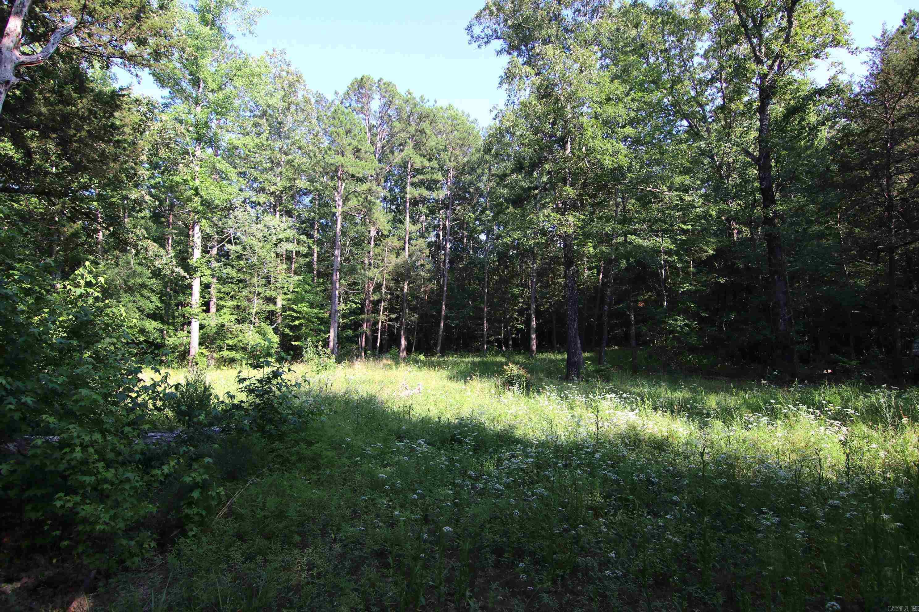 Deer Run Acres - Land