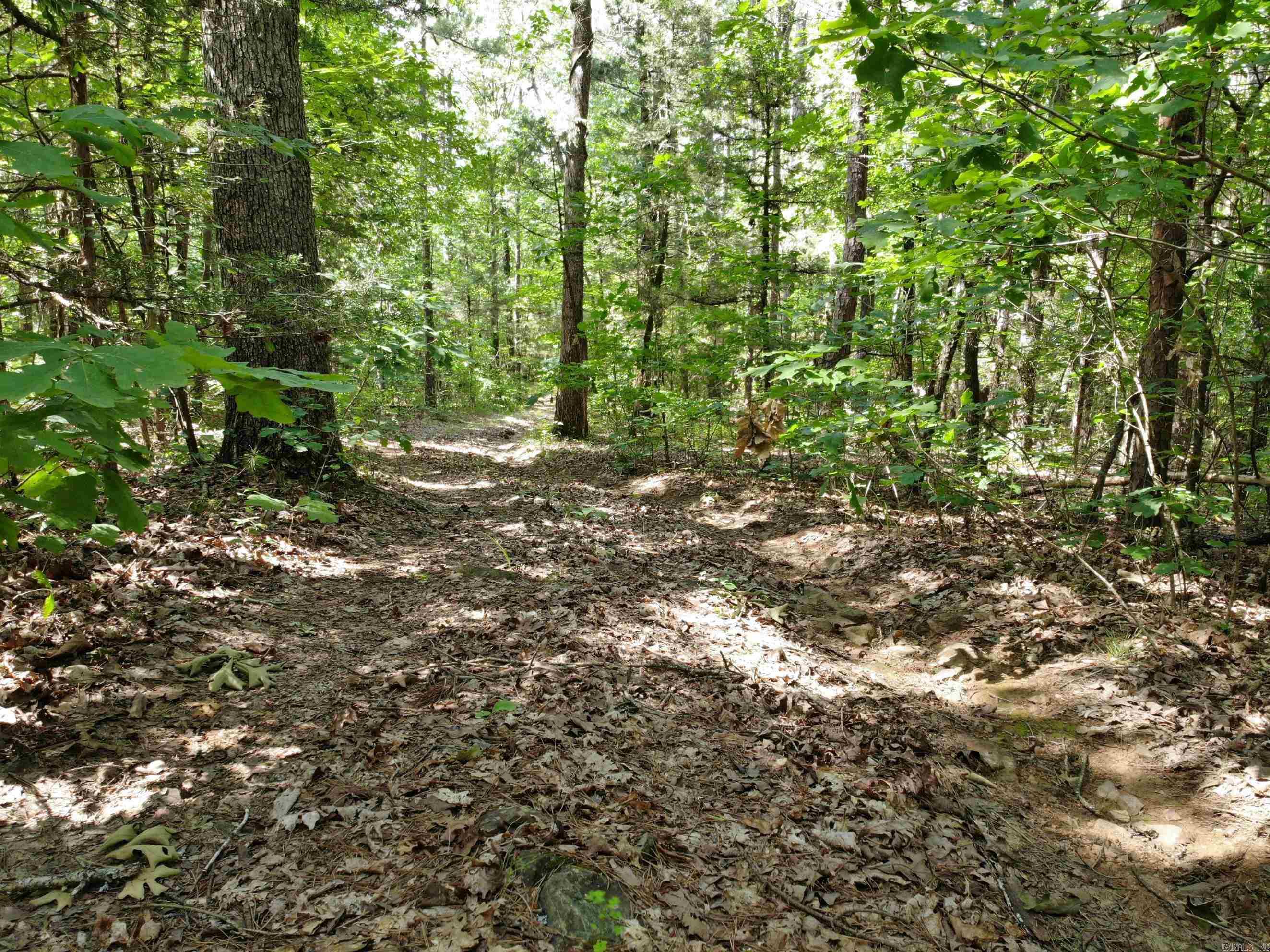 Deer Run Acres - Land