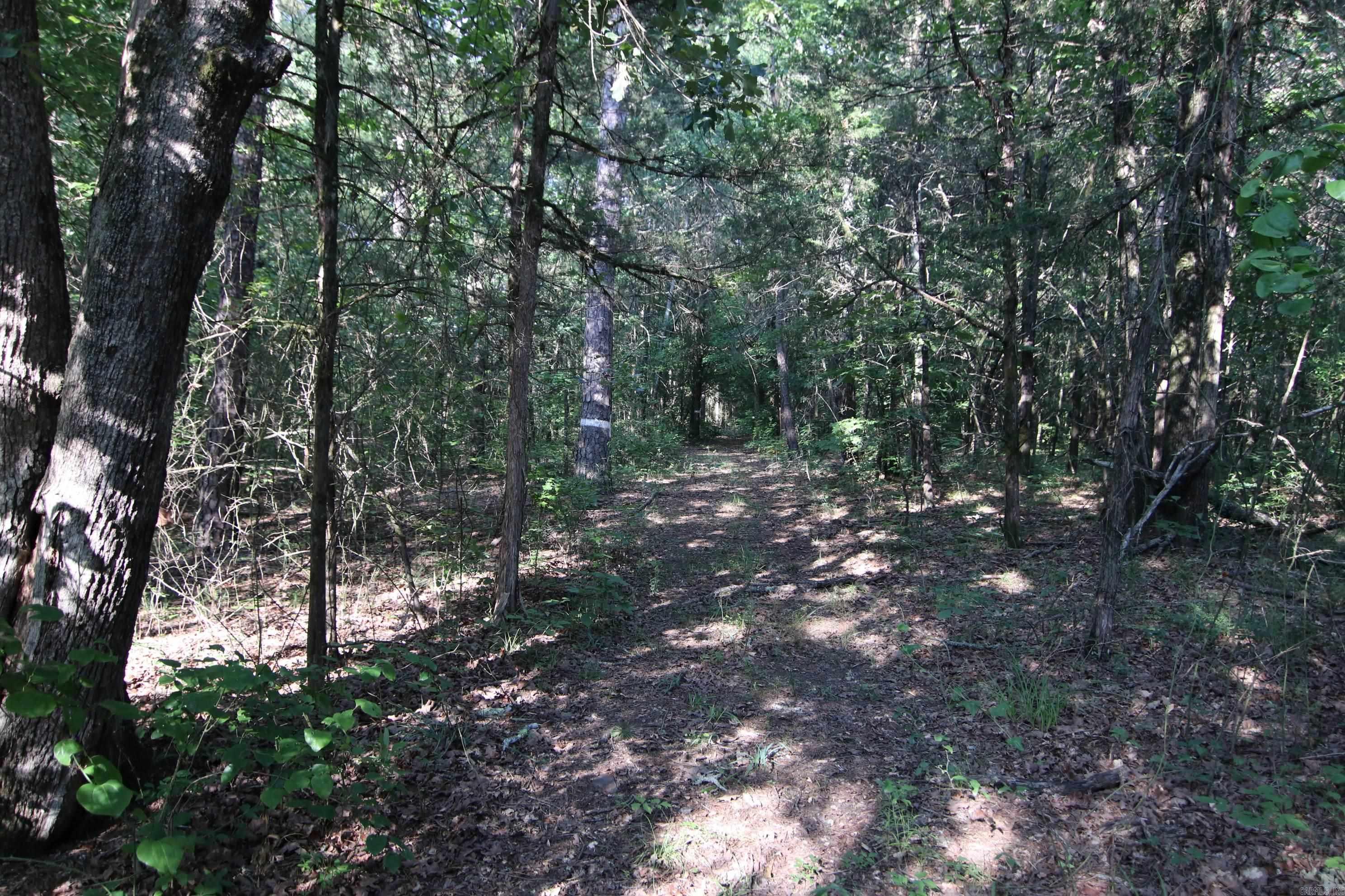 Deer Run Acres - Land