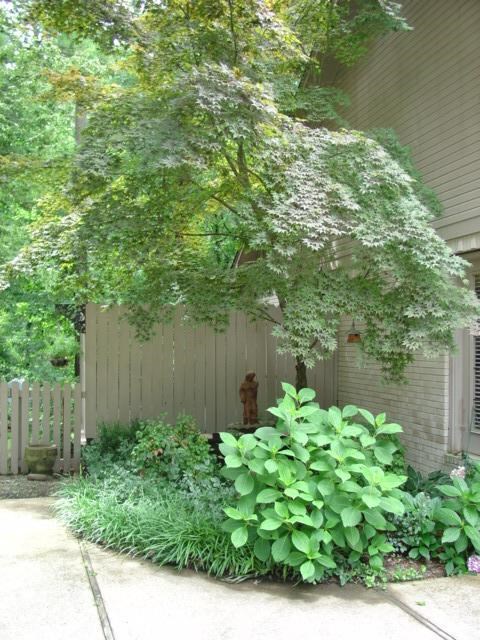 WELLINGTON POINTE - Residential