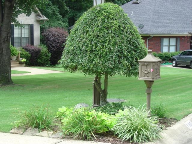 WELLINGTON POINTE - Residential