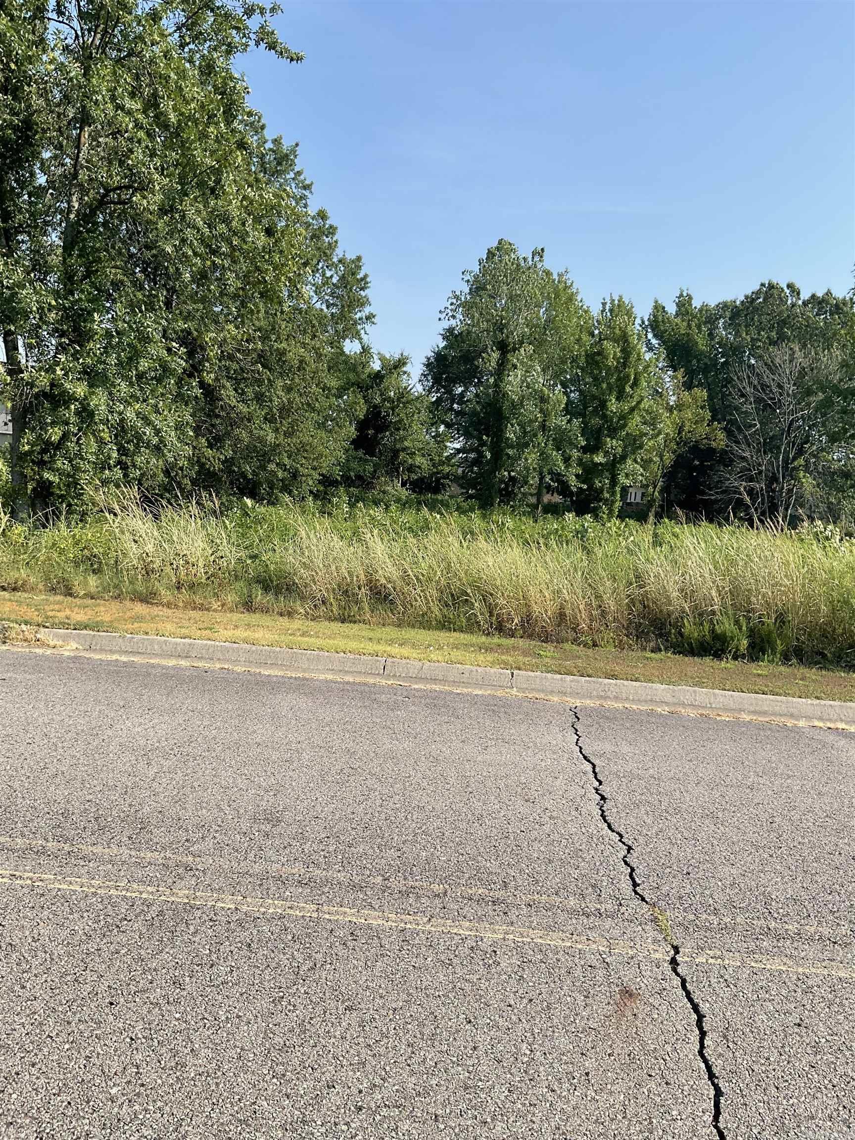 Great Business Opportunity. Commercial corner lot with high traffic count.