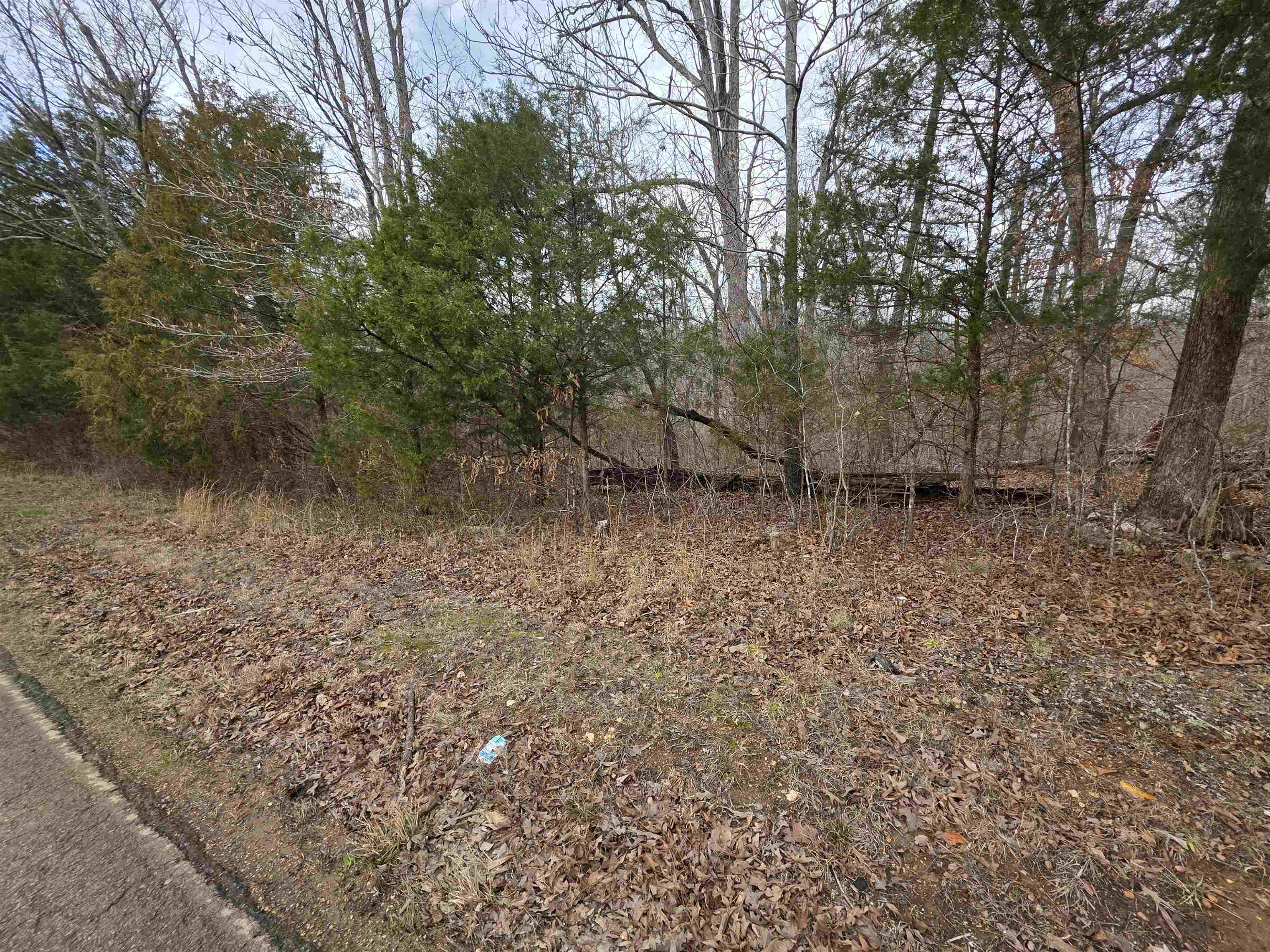 BUCKSKIN ADDN - Land