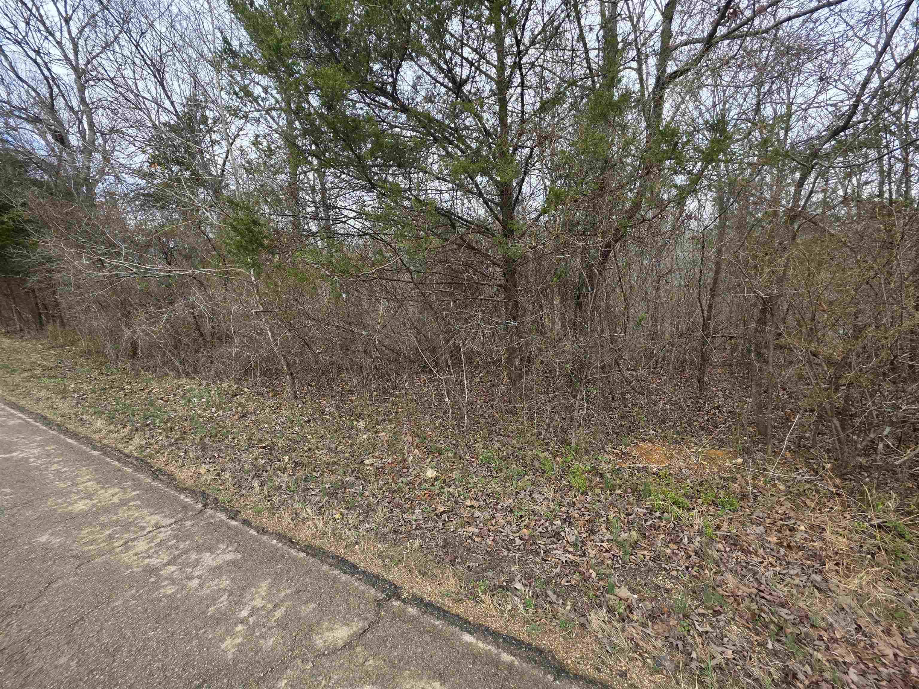 BUCKSKIN ADDN - Land