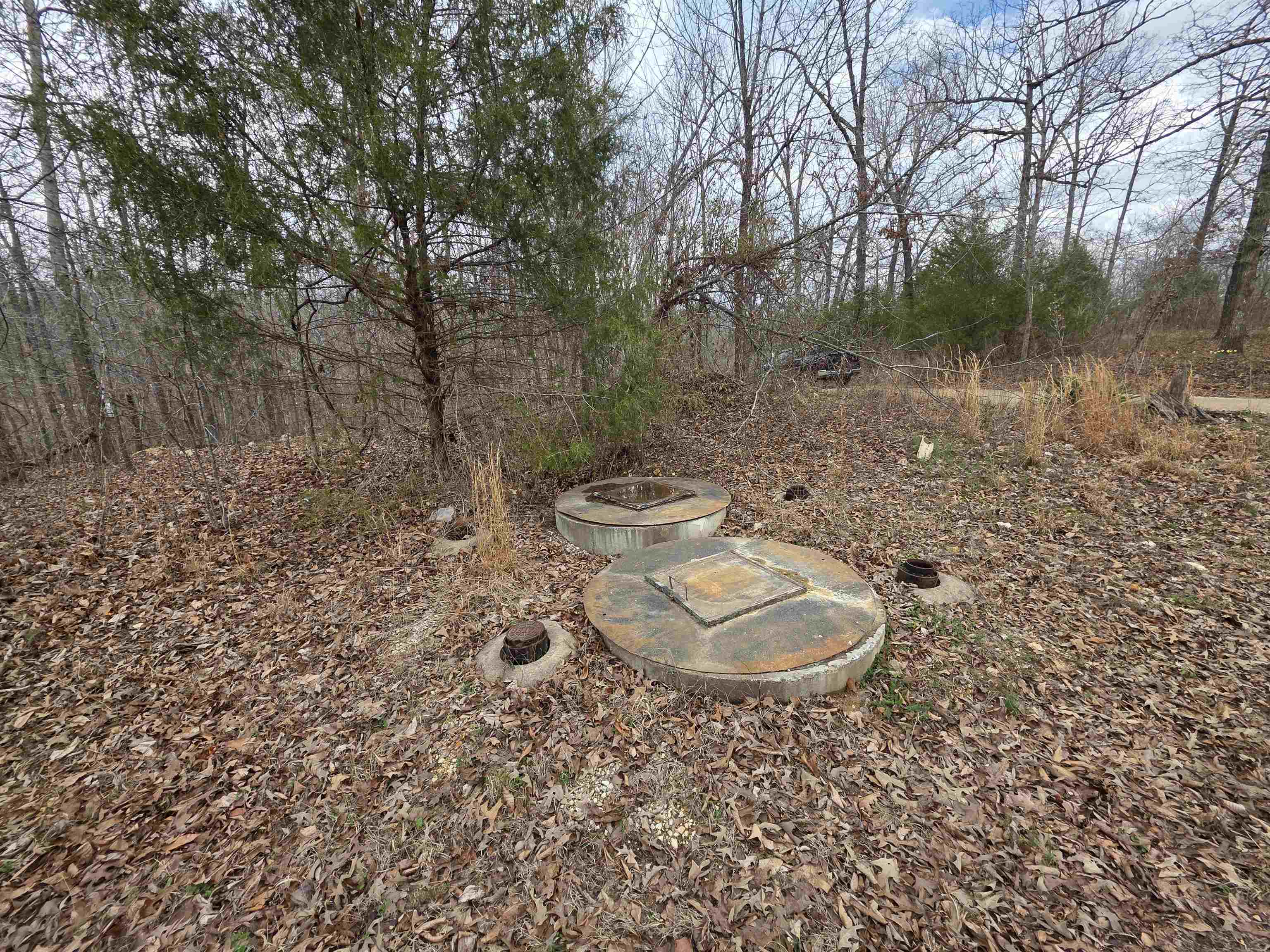 BUCKSKIN ADDN - Land