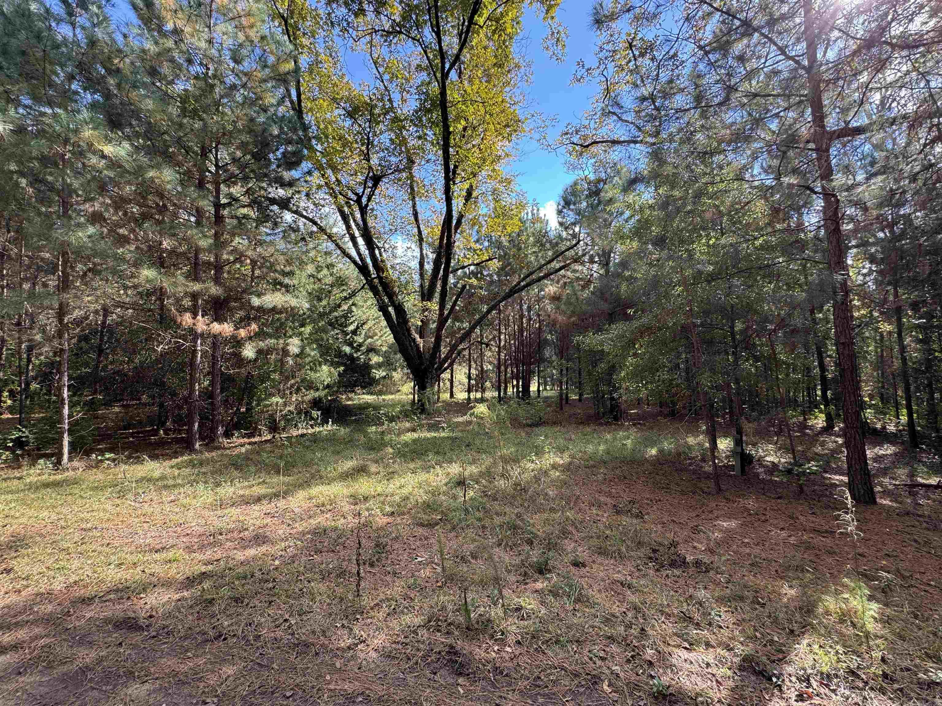 CAMDEN CITY METES & BOUNDS - Commercial Sale