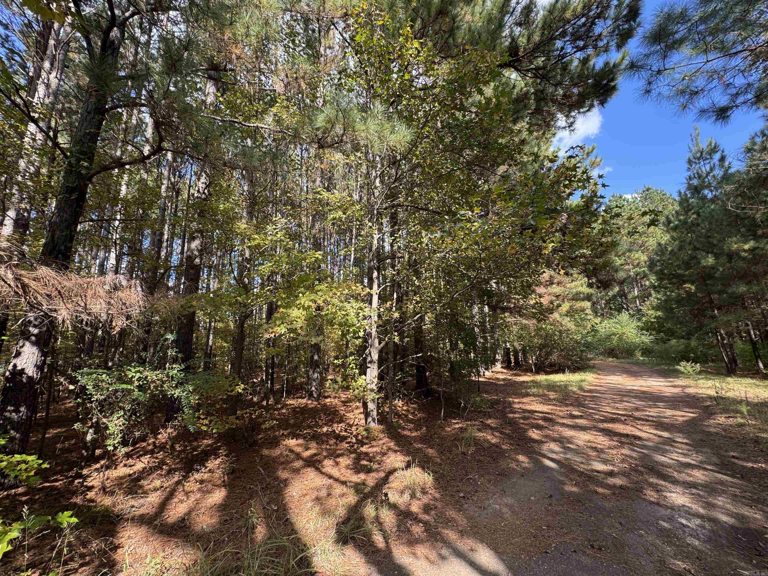 CAMDEN CITY METES & BOUNDS - Commercial Sale