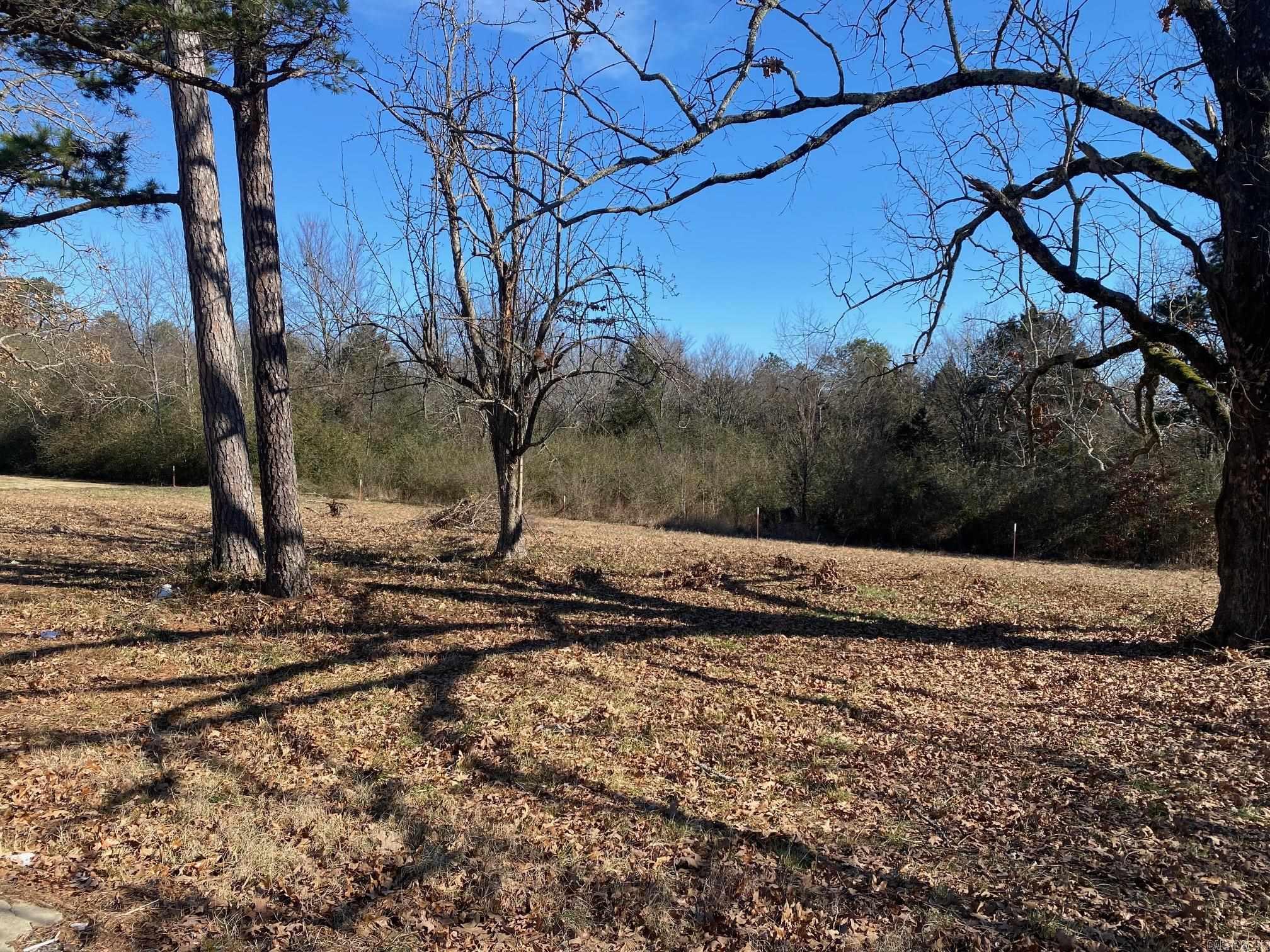 Slaten & Vinson - Land