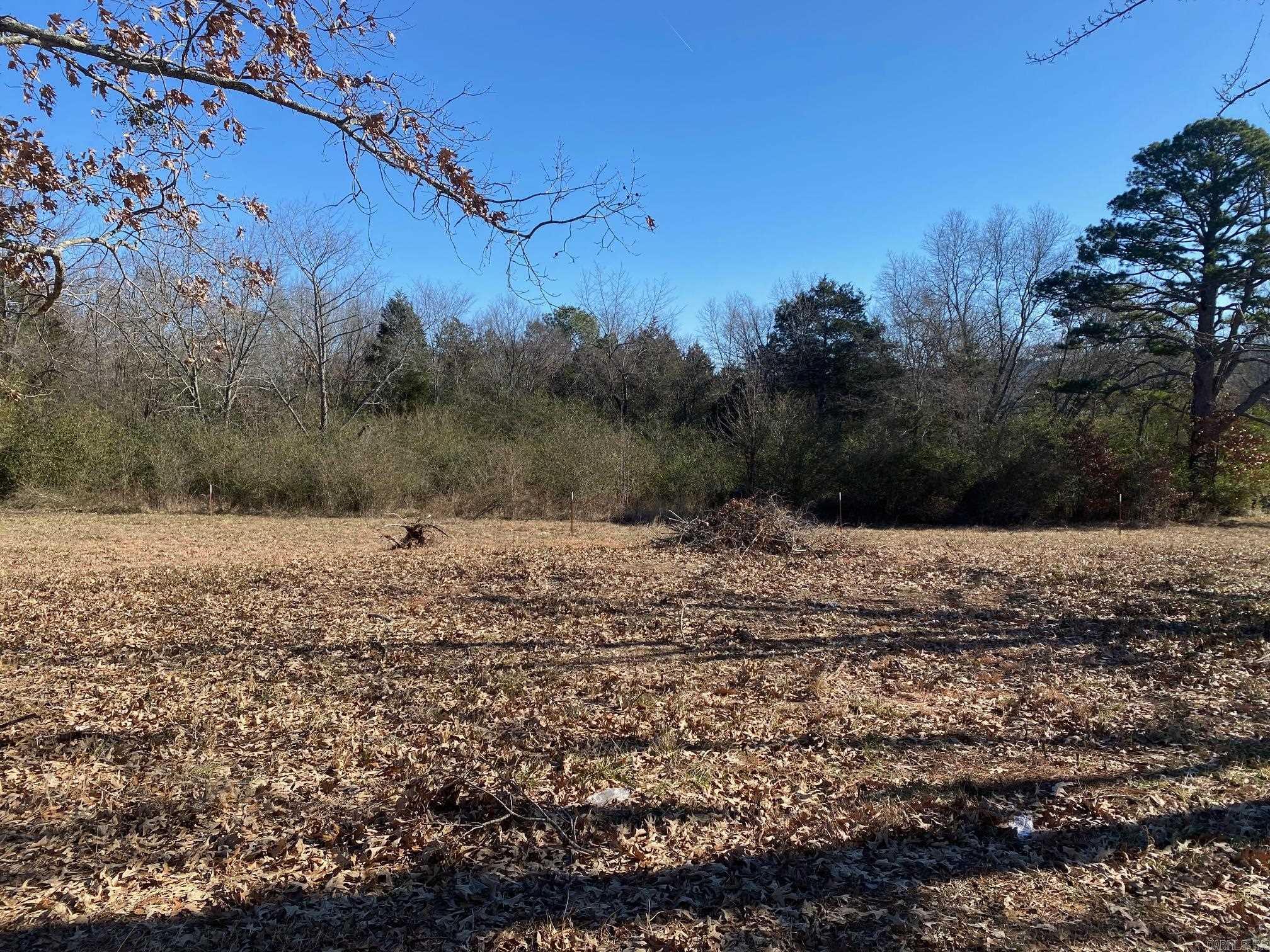 Slaten & Vinson - Land