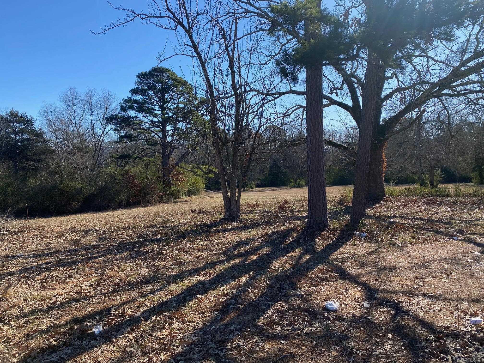 Slaten & Vinson - Land