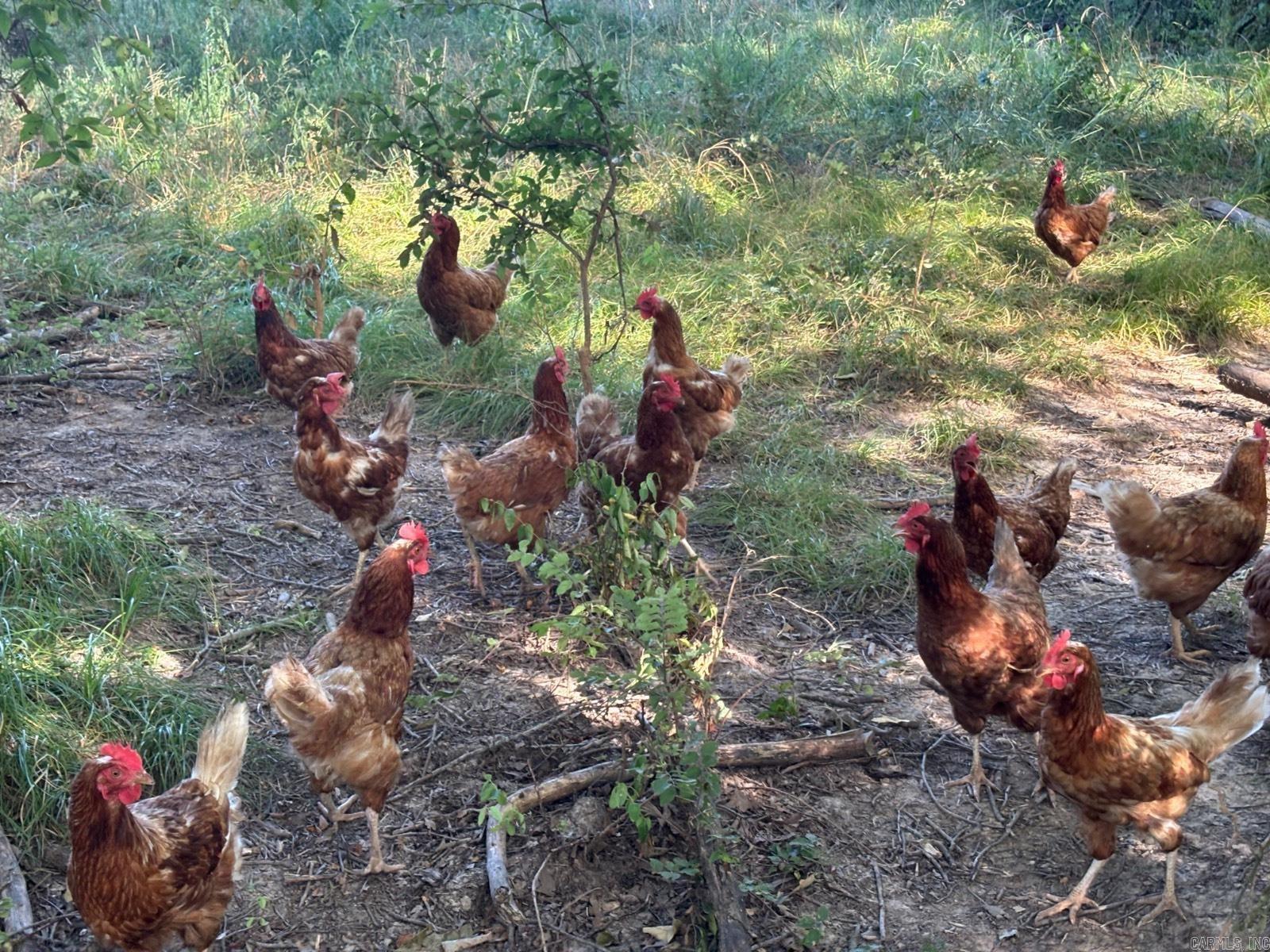 Metes & Bounds - Land