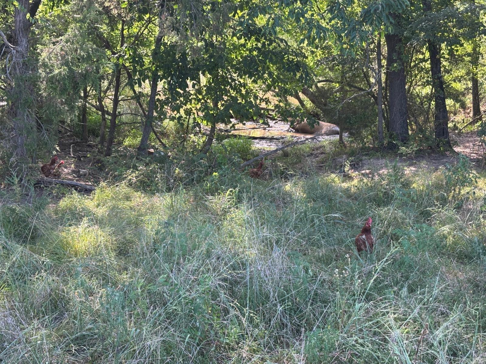 Metes & Bounds - Land