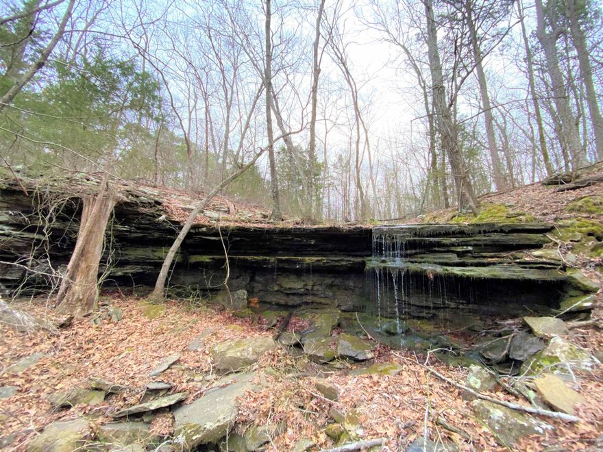 39.5 Acres just in time for hunting season. This property is choked full of wildlife, mixed hardwoods, and native blackberry vines throughout. Property features a wet weather creek, thick animal cover and located just minutes from Heber Springs. Call today for a personal tour and make this place yours just in time for season.