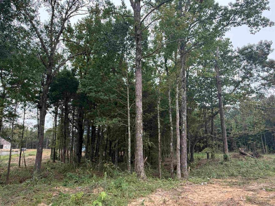 This partially wooded lot is located in a beautiful subdivision. 2000 sq. ft. minimum. Choose your builder.