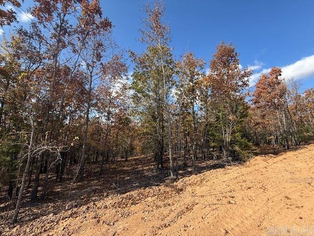 SUMMERLYN SUBDIVISION - Land