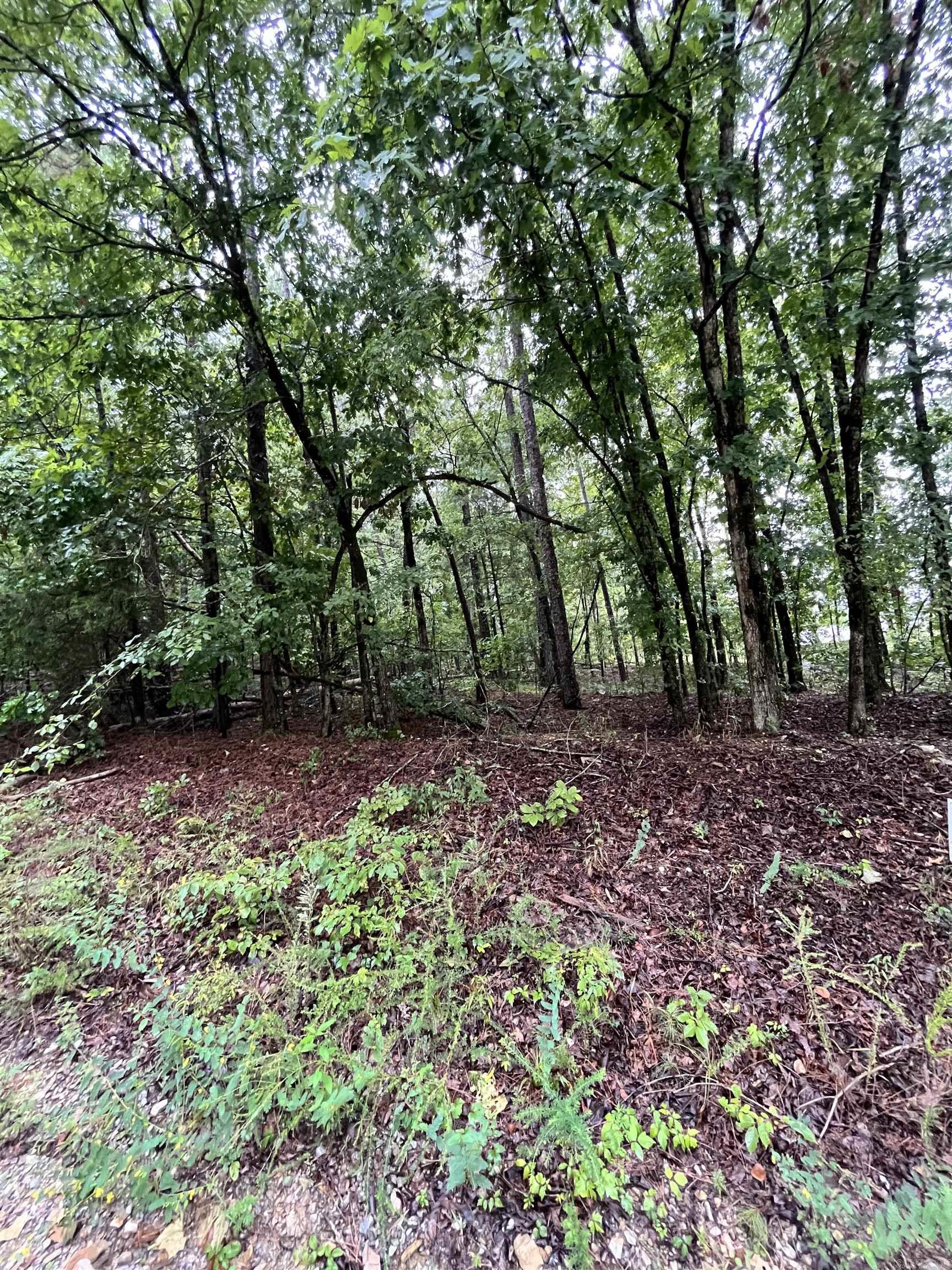Check out this 1 acre Property in Paron! Offering endless potential, this property gives you the freedom to create your vision - whether building your dream home or placing a mobile. With no restrictions, you have the flexibility to bring your plans to life!