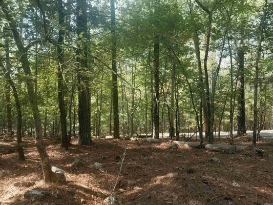 19 CELESTE LN, HOT SPRINGS VILLAGE, AR 71909 - Image 86600161fcf8bb7cf2af7f35ba389d8d/2638534427