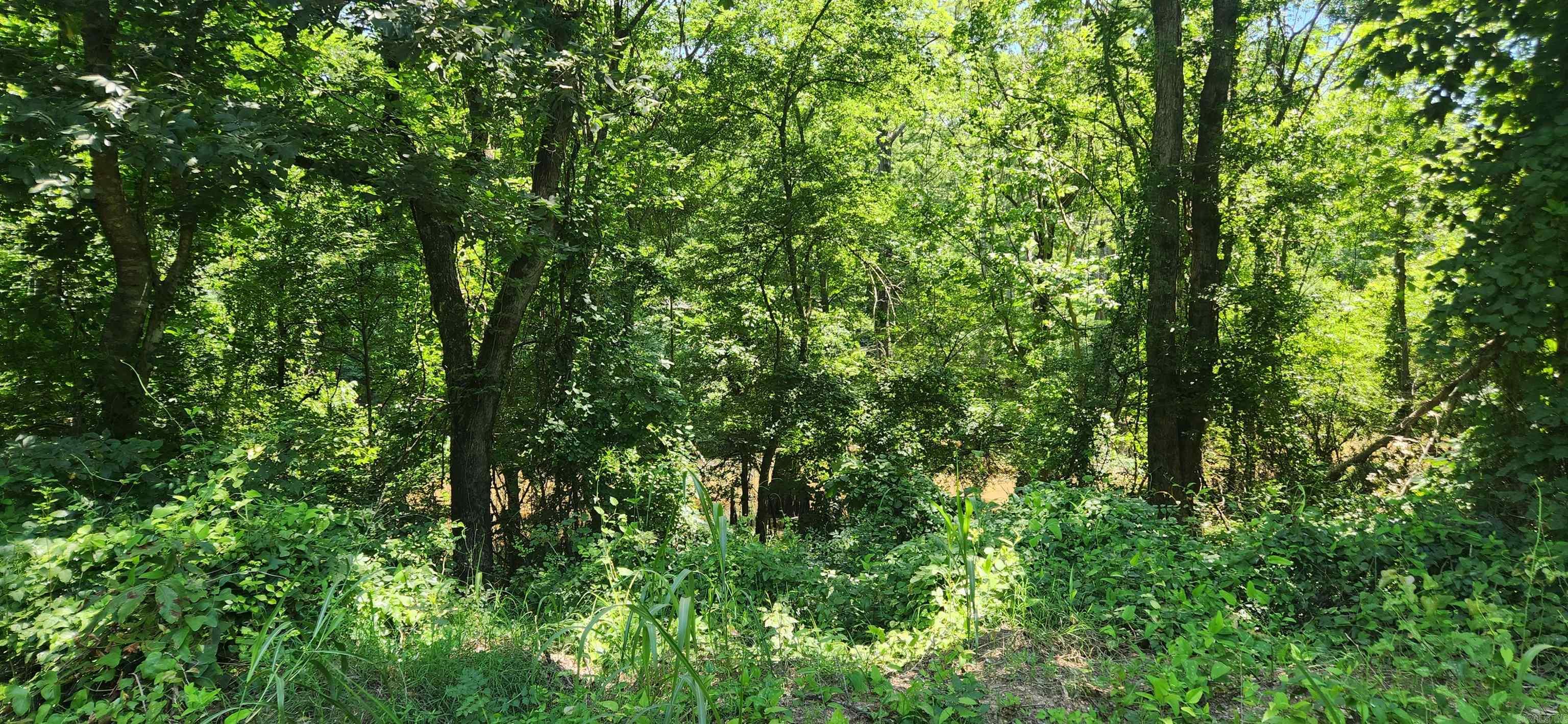 9.53 Acres of land on Bayou Bartholomew. Mature timber. Great for hunting, fishing and there is homesites for building. Public water and electricity available. No seller property Disclosure on property.