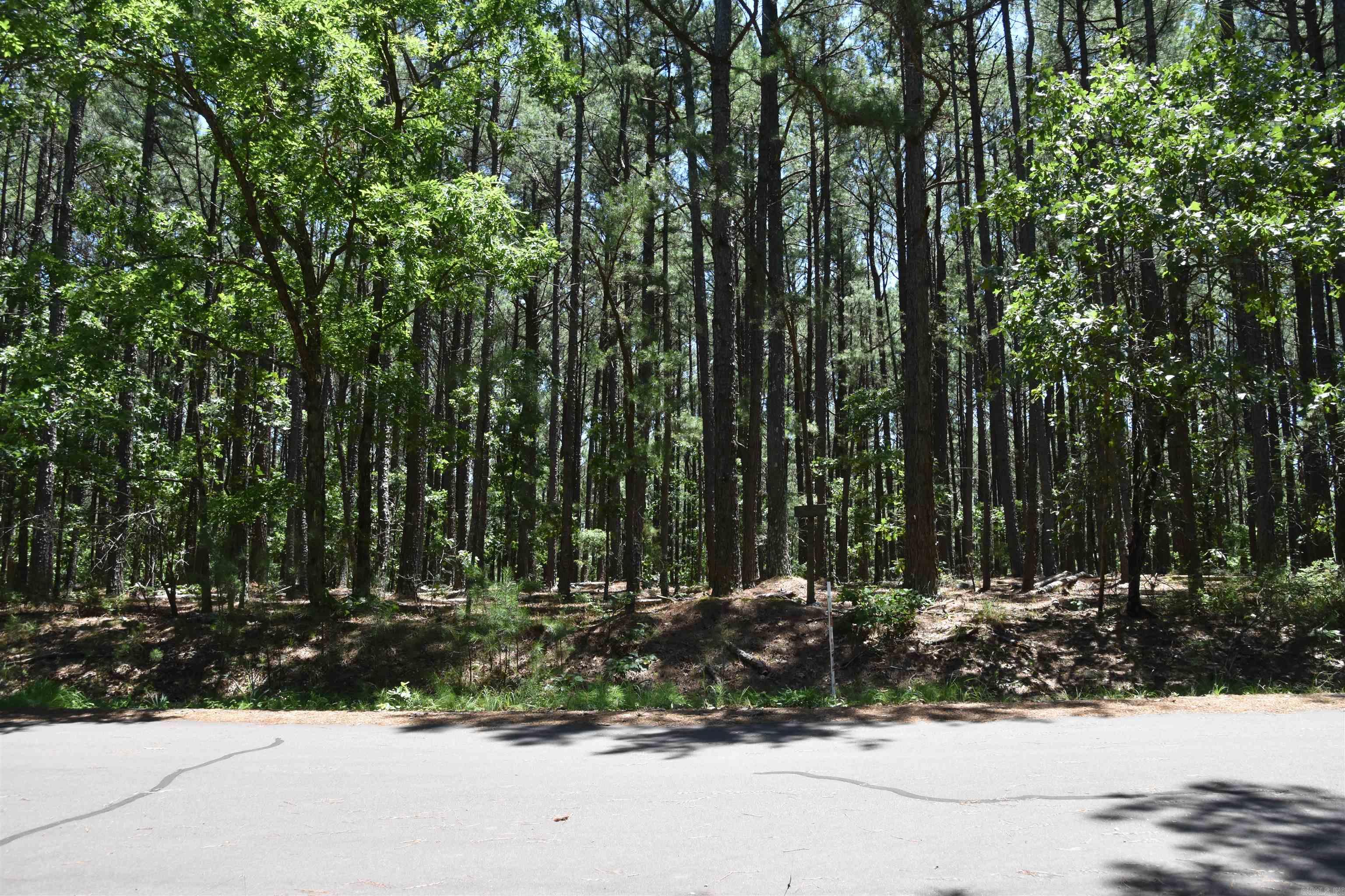 PRICE IMPROVEMENT!! Looking for property that is close to it all? Lakes, great golf course, too many amenities to list.... Check out this beautiful flat lot in Hot Springs Village. It is ready for you....