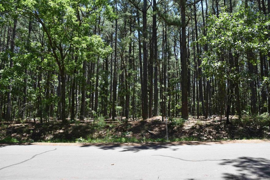 PRICE IMPROVEMENT!!  Looking for property that is close to it all? Lakes, great golf course, too many amenities to list.... Check out this beautiful flat lot in Hot Springs Village.  It is ready for you....
