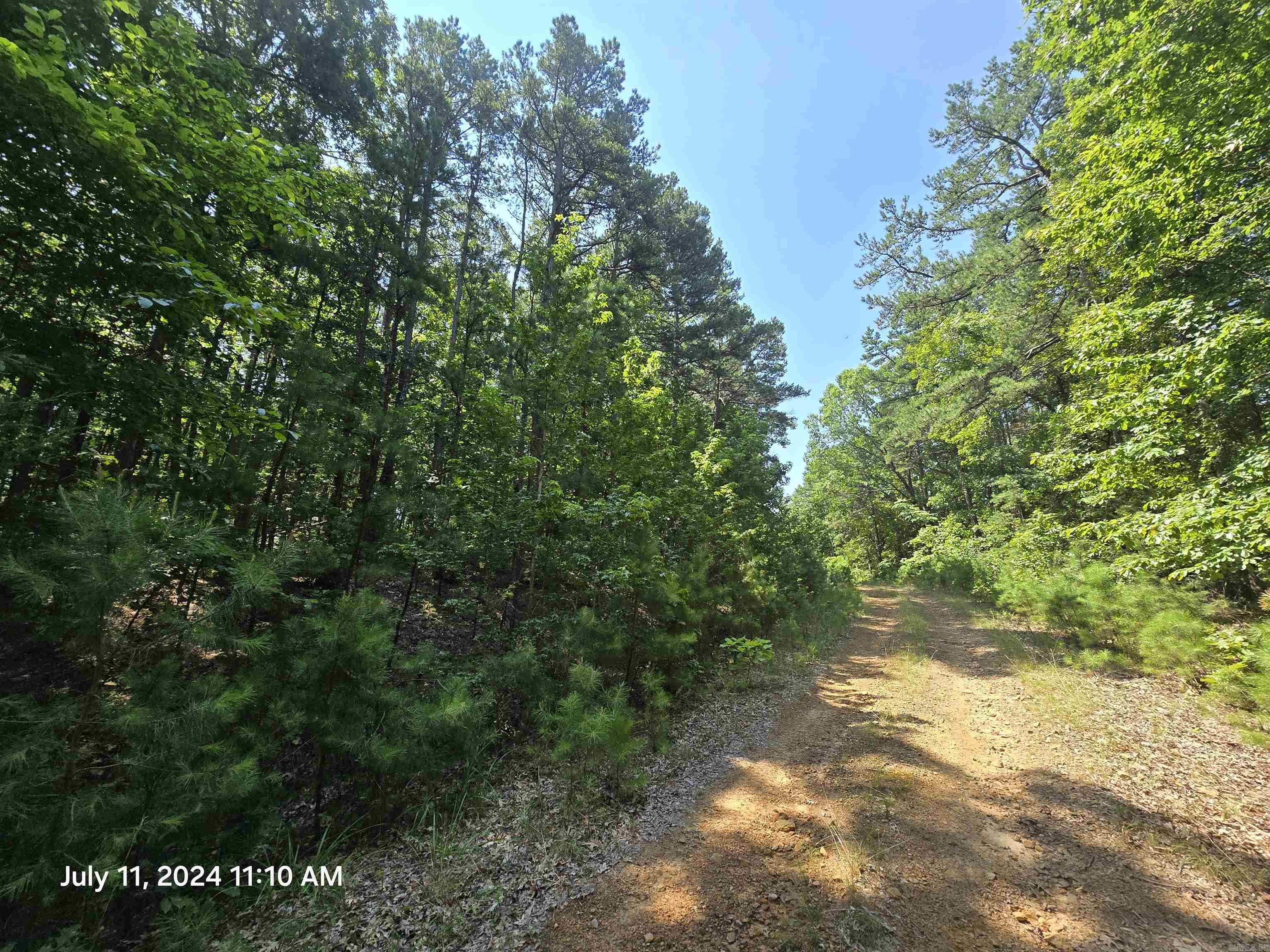 Welcome to Market this rural & resort lot in Fairfield Bay! Just off the paved road w power & water near by is this wooded lot. Beautiful wood views all around and not far from town and all the local amenities.