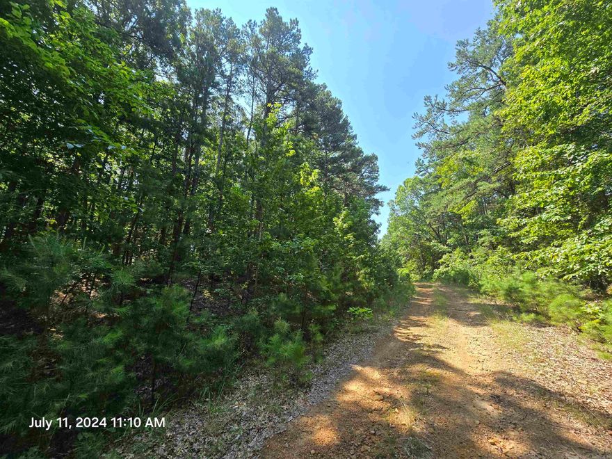 Welcome to Market this rural & resort lot in Fairfield Bay! Just off the paved road w power & water near by is this wooded lot.  Beautiful wood views all around and not far from town and all the local amenities.