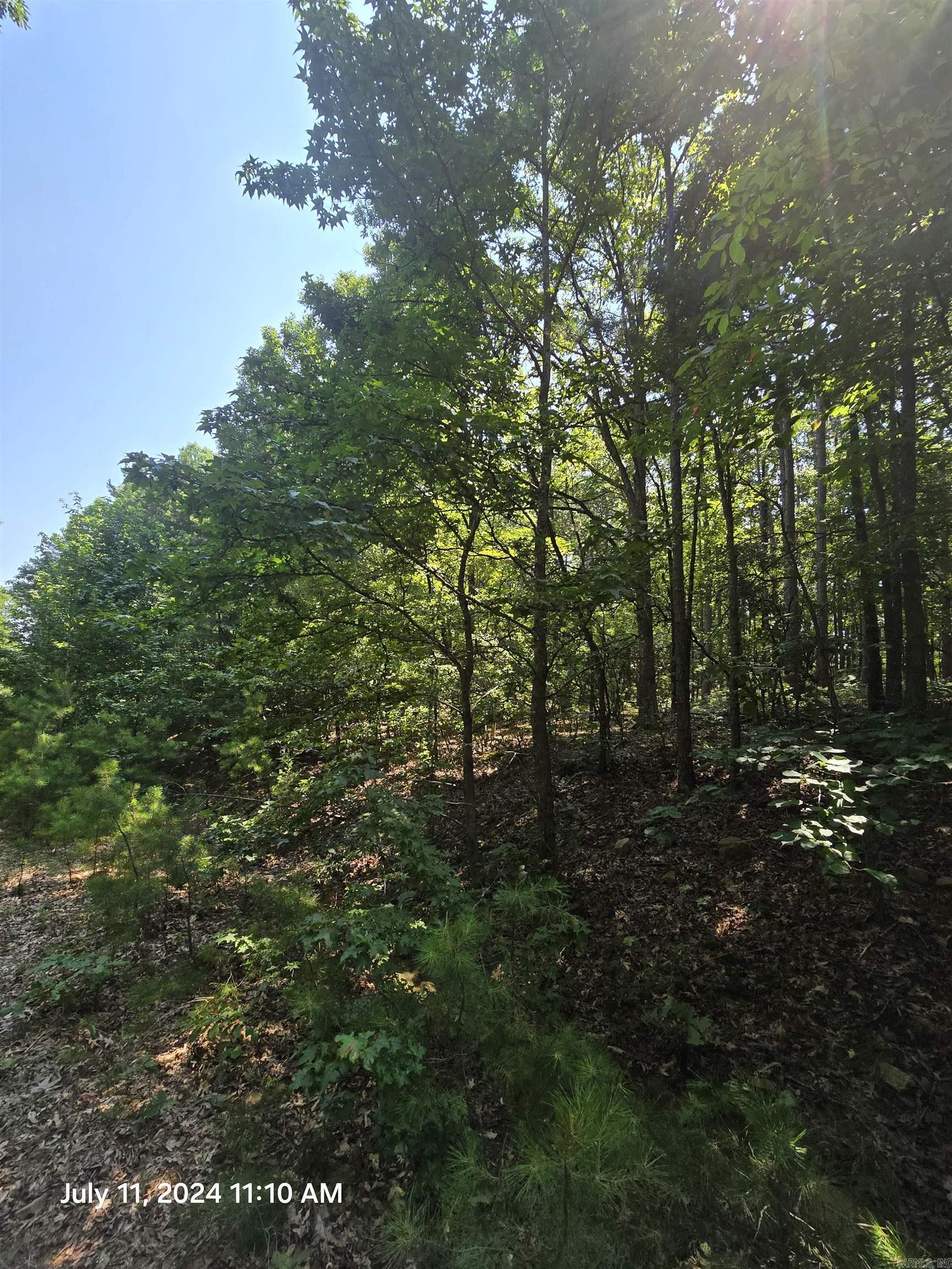 Indian Hills - Land