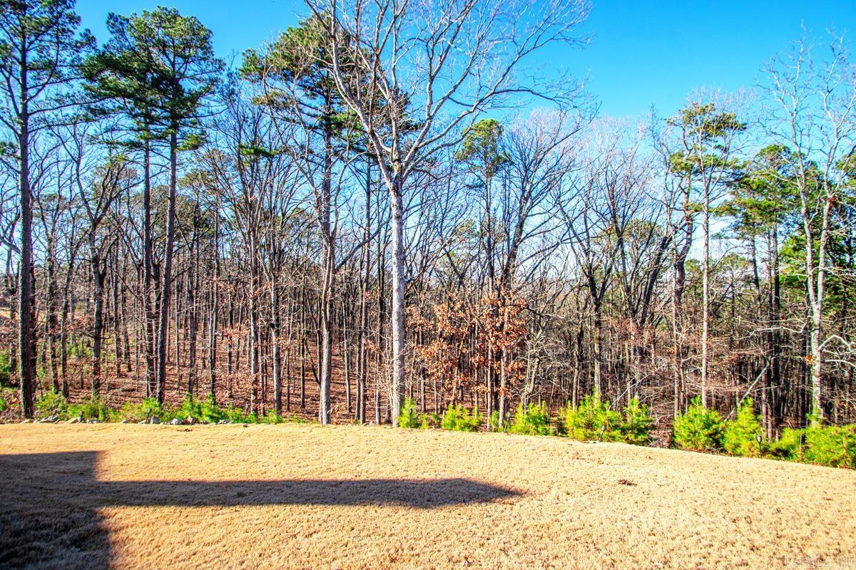 CHENAL VALLEY "FALSTONE COURT" - Residential