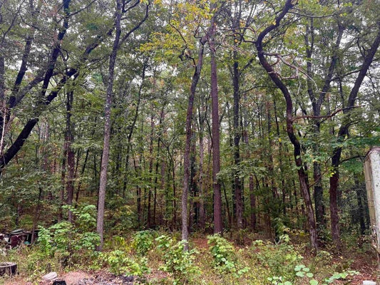 220 GRANT COUNTY ROAD 52, SHERIDAN, AR 72150 - Image 869940f4d6ccd8e6adc7149dcc4d86ba/1593134437