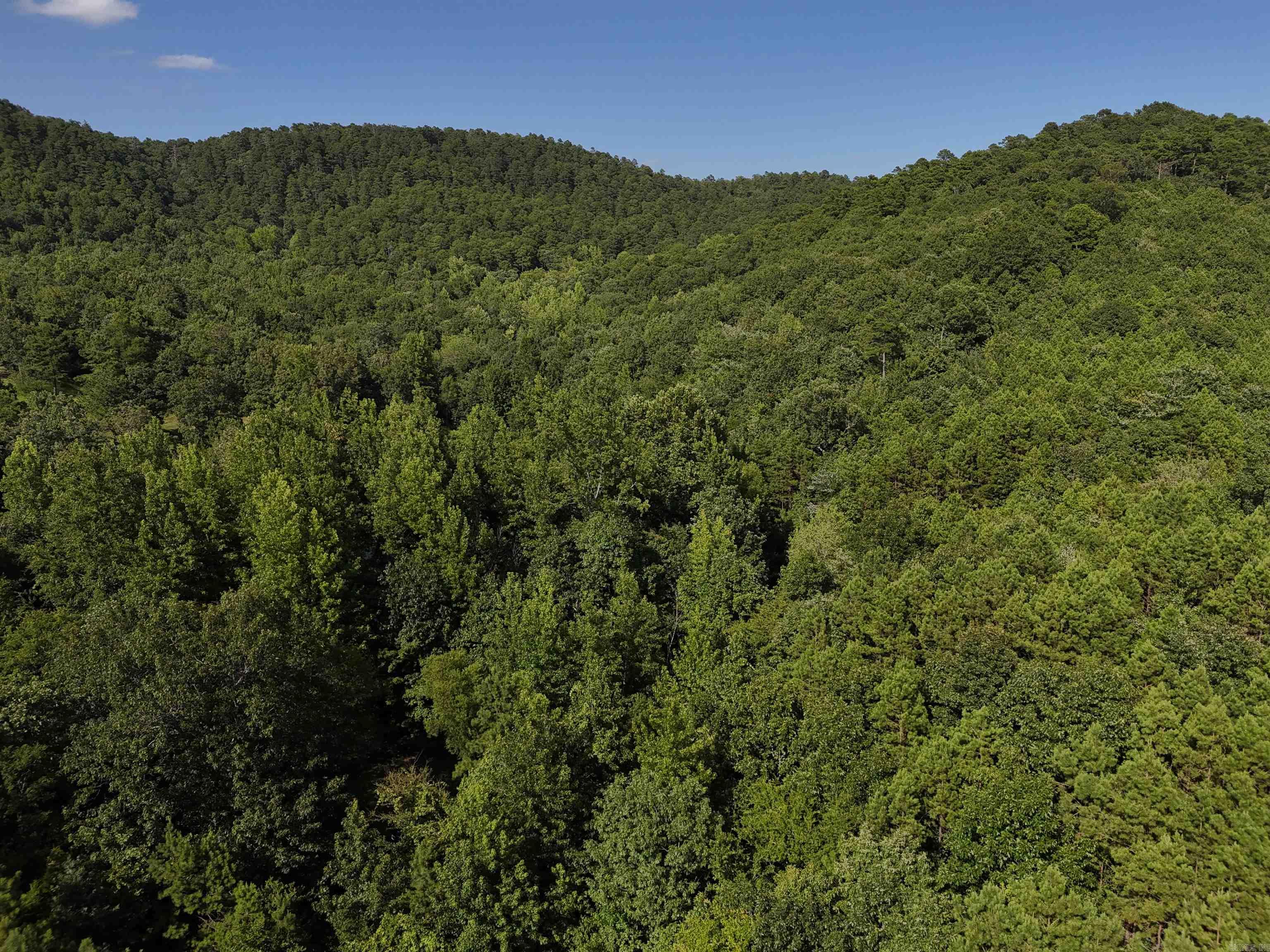2.881 acres waiting for your new home in the beautiful Rustic Ridge Subdivision! Enjoy mountain views, peaceful surroundings, wildlife, and a great location just minutes to downtown Mena. Ride straight to the Wolf Pen Gap west trailhead which is just 12 miles away. Electric is available, and a survey is completed. Also has a wet weather creek along the southwestern boundary. This lot is a beautiful place to build, relax and explore - come take a look today!