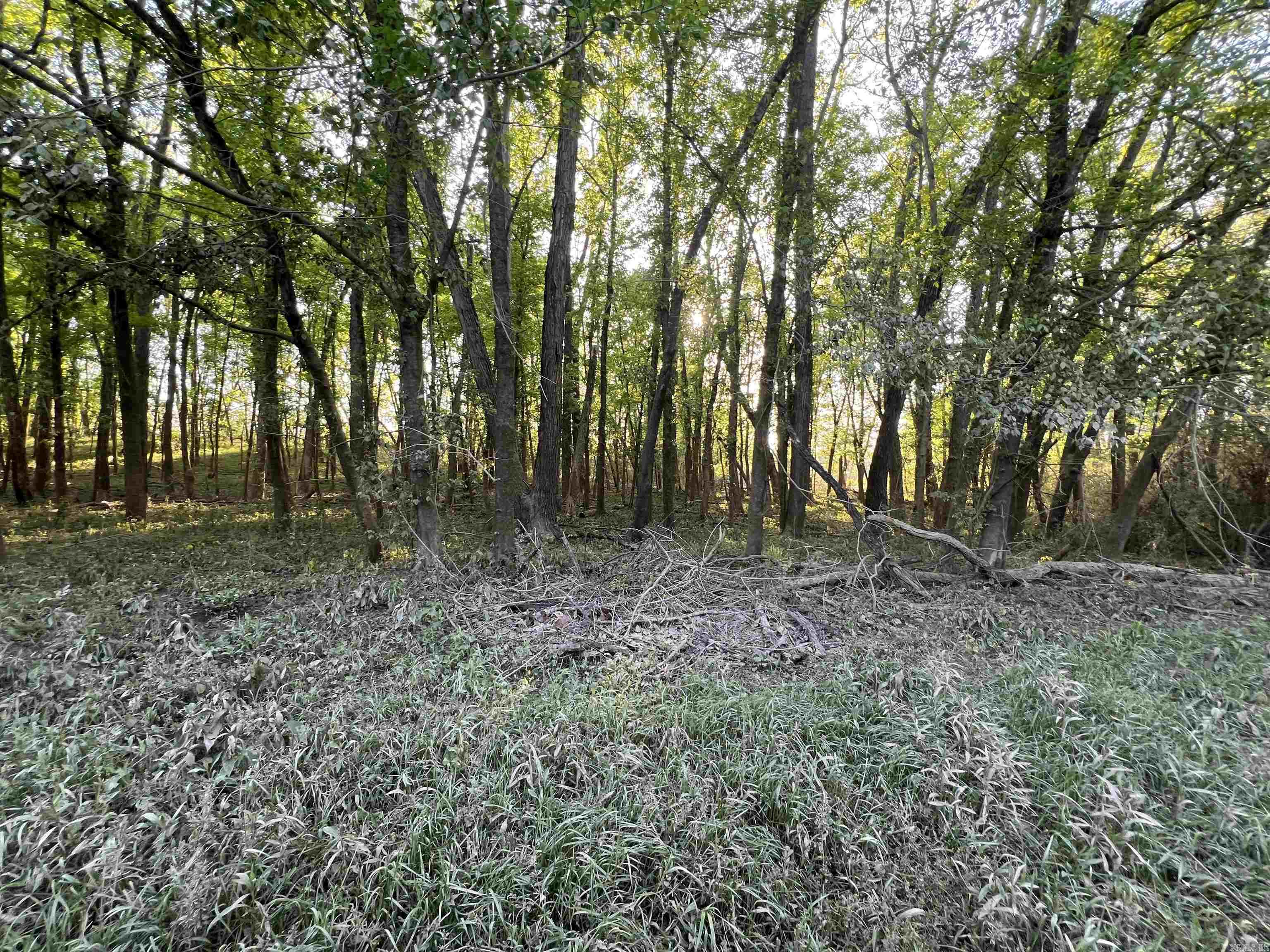 Not in Subdivision - Farm