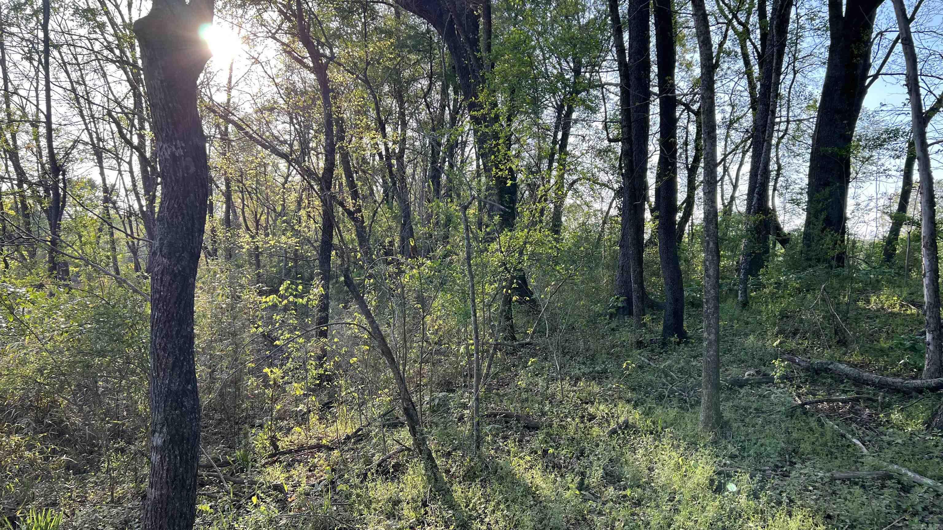 Not in Subdivision - Farm