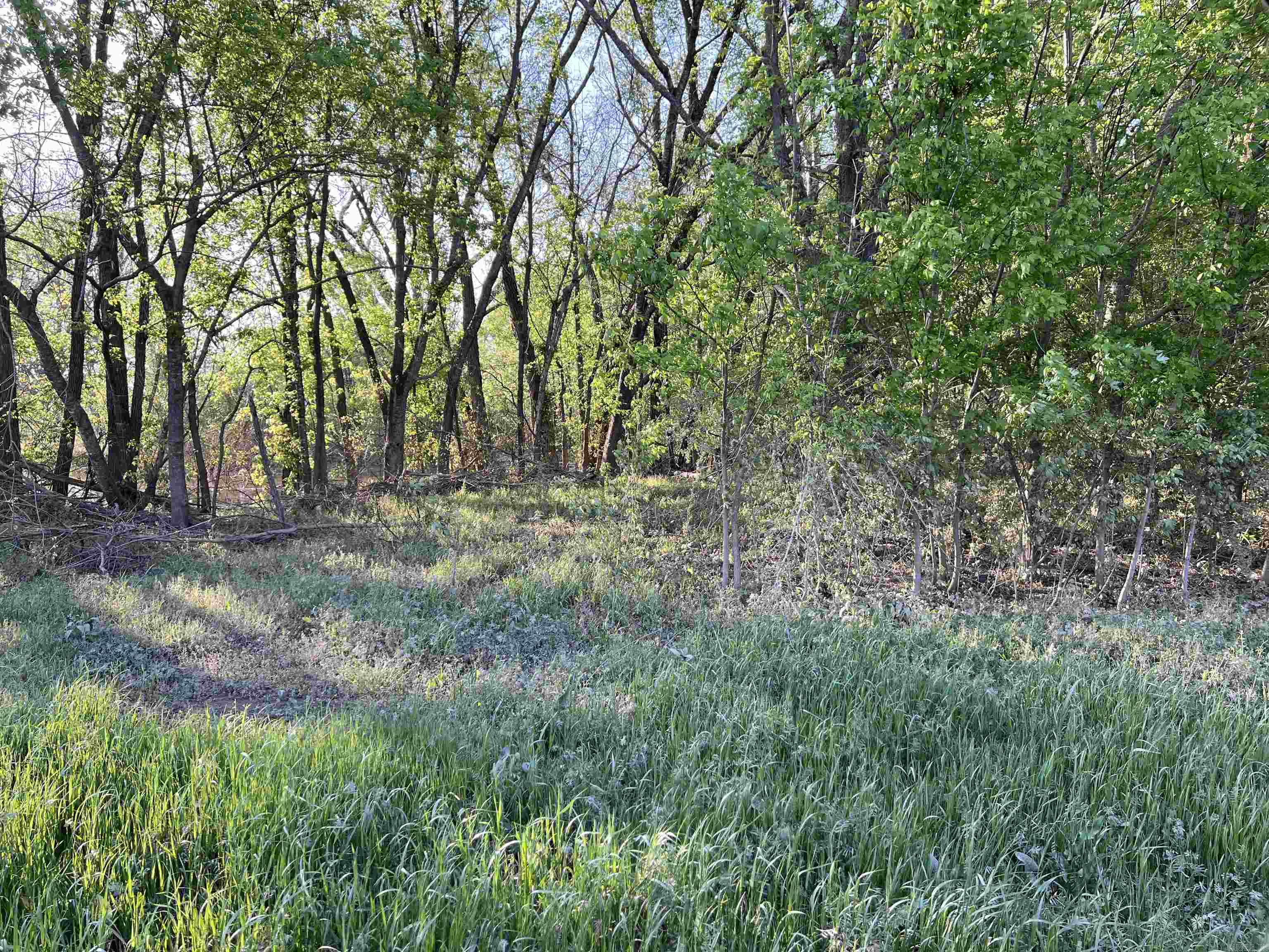 Not in Subdivision - Farm