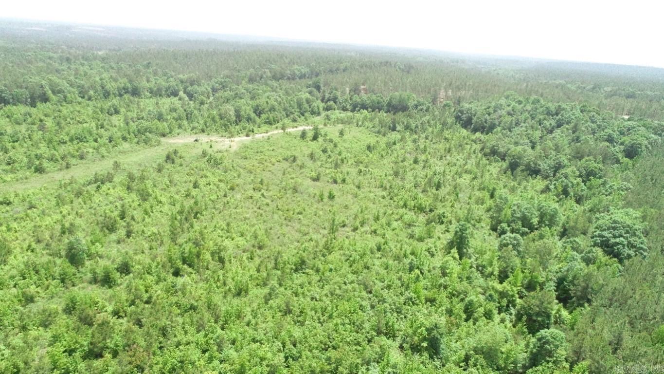Sold Tract #1: 40+/- Acres Tract #2: 40+/- Acres ACCEPTING OFFERS Contact Fowler Auctioneers, Inc. Nick D. Fowler - Broker for more information. Visit FowlerAuctineers.com For further details.