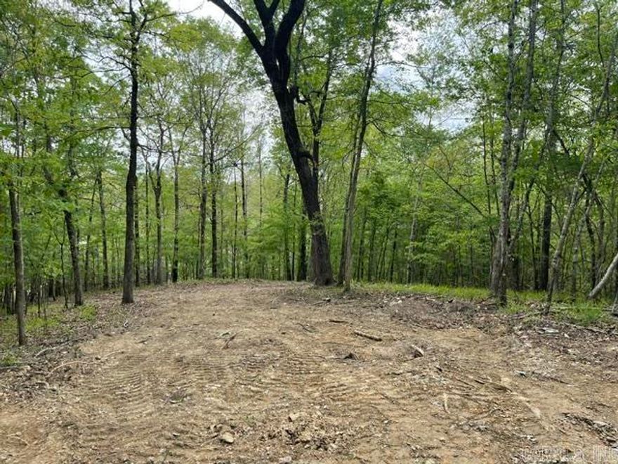 Private wooded, one acre lot with view of Lake Norrell. Only five minutes from boat ramp. Lot already has perc test and spot cleared for new home.