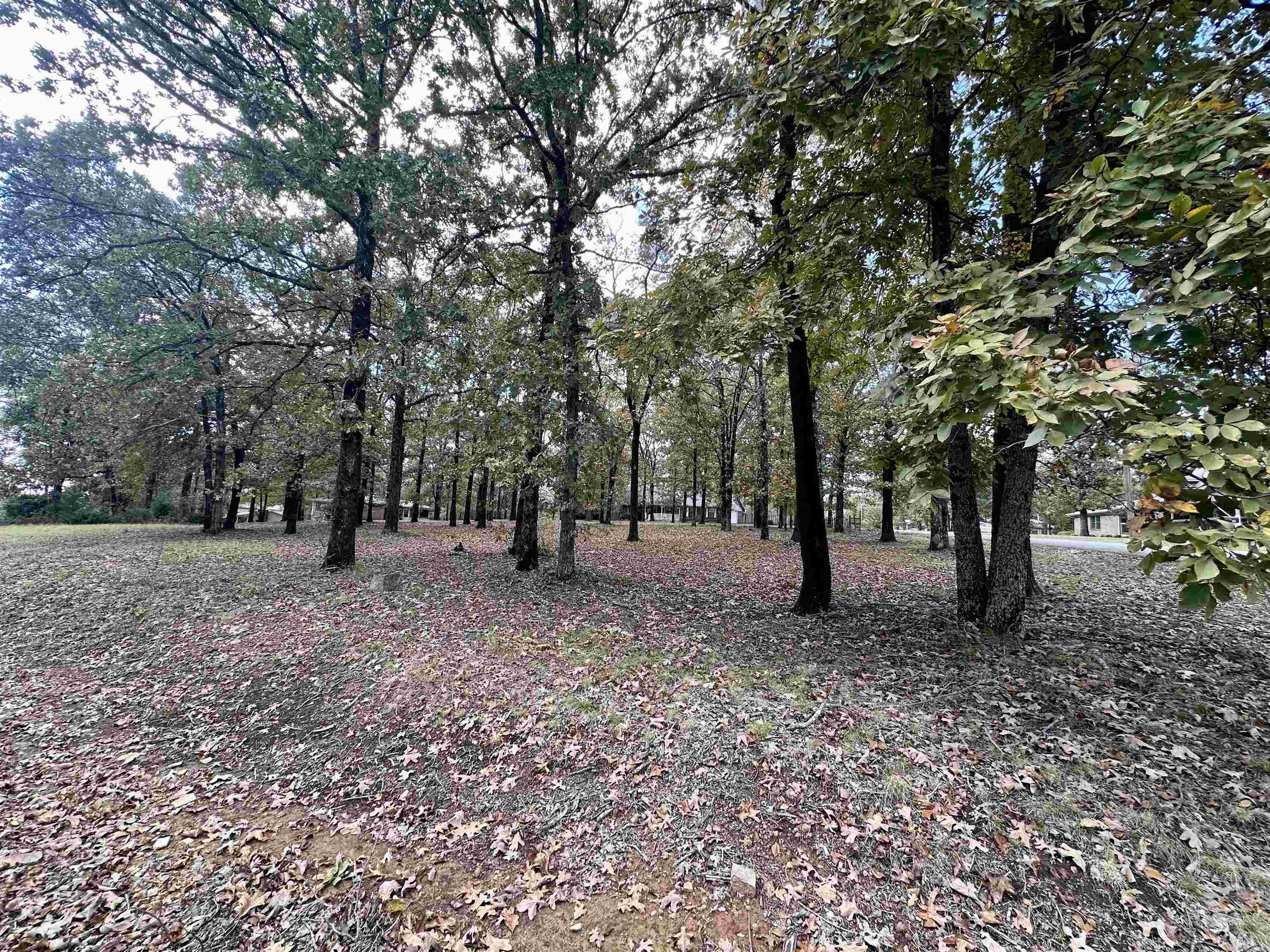 Summit Phase II - Residential