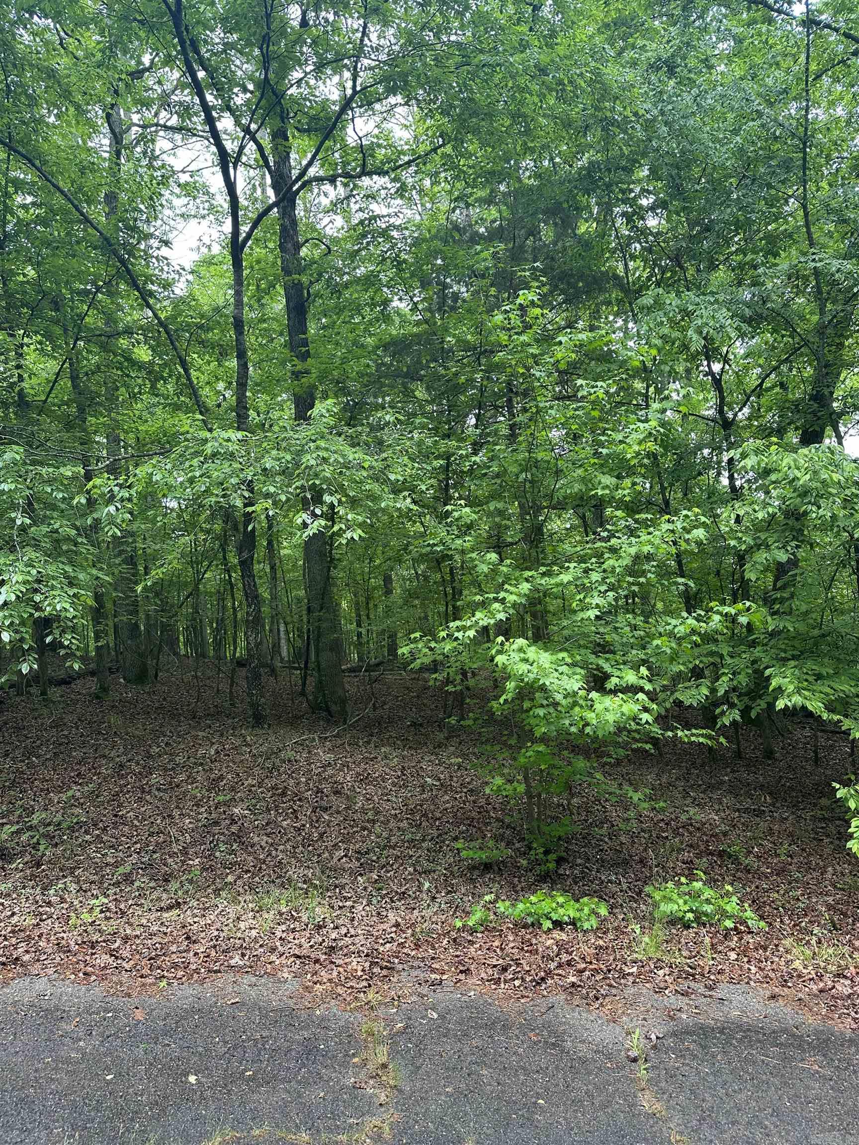 Buildable lot in an established neighborhood near Cortez Golf Course! You'll experience wooded privacy while being near one of Hot Springs Village's best golf clubs in the largest gated community in the U.S.. Amenities include gate security, over 300 miles of trails, parks, pickleball, tennis, 9 pristine Golf Courses, 11 recreational lakes, marinas, restaurants, and more!