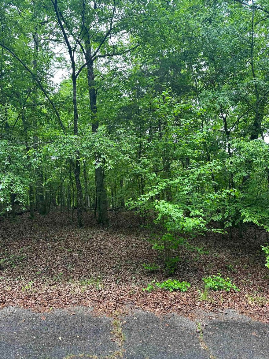 Buildable lot in an established neighborhood near Cortez Golf Course! You'll experience wooded privacy while being near one of Hot Springs Village's best golf clubs in the largest gated community in the U.S.. Amenities include gate security, over 300 miles of trails, parks, pickleball, tennis, 9 pristine Golf Courses, 11 recreational lakes, marinas, restaurants, and more!