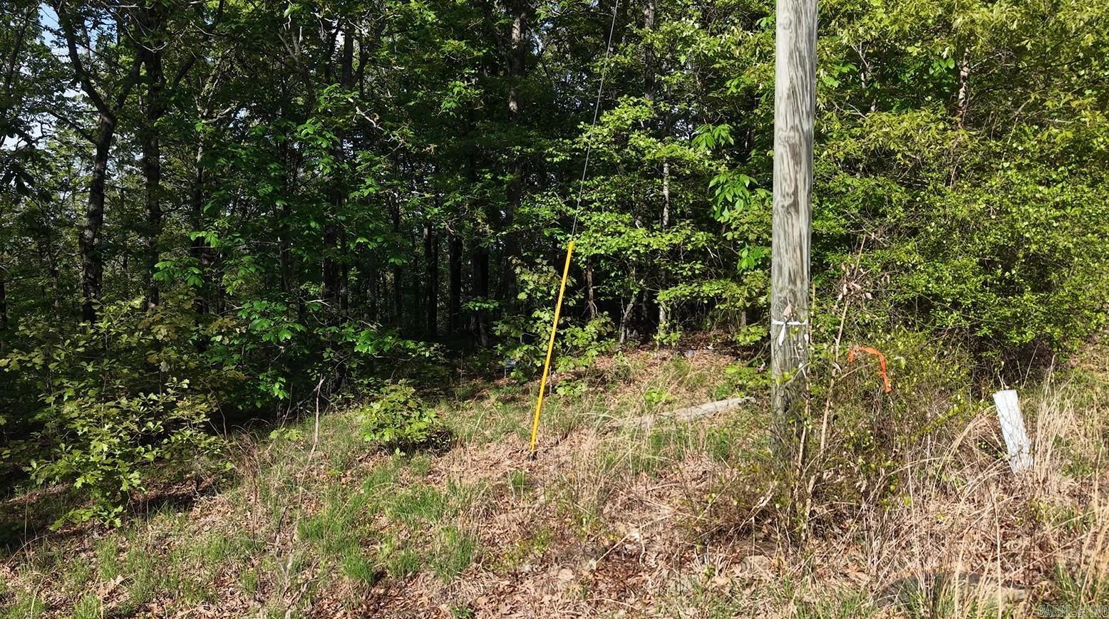 Round Mountain Estates - Land