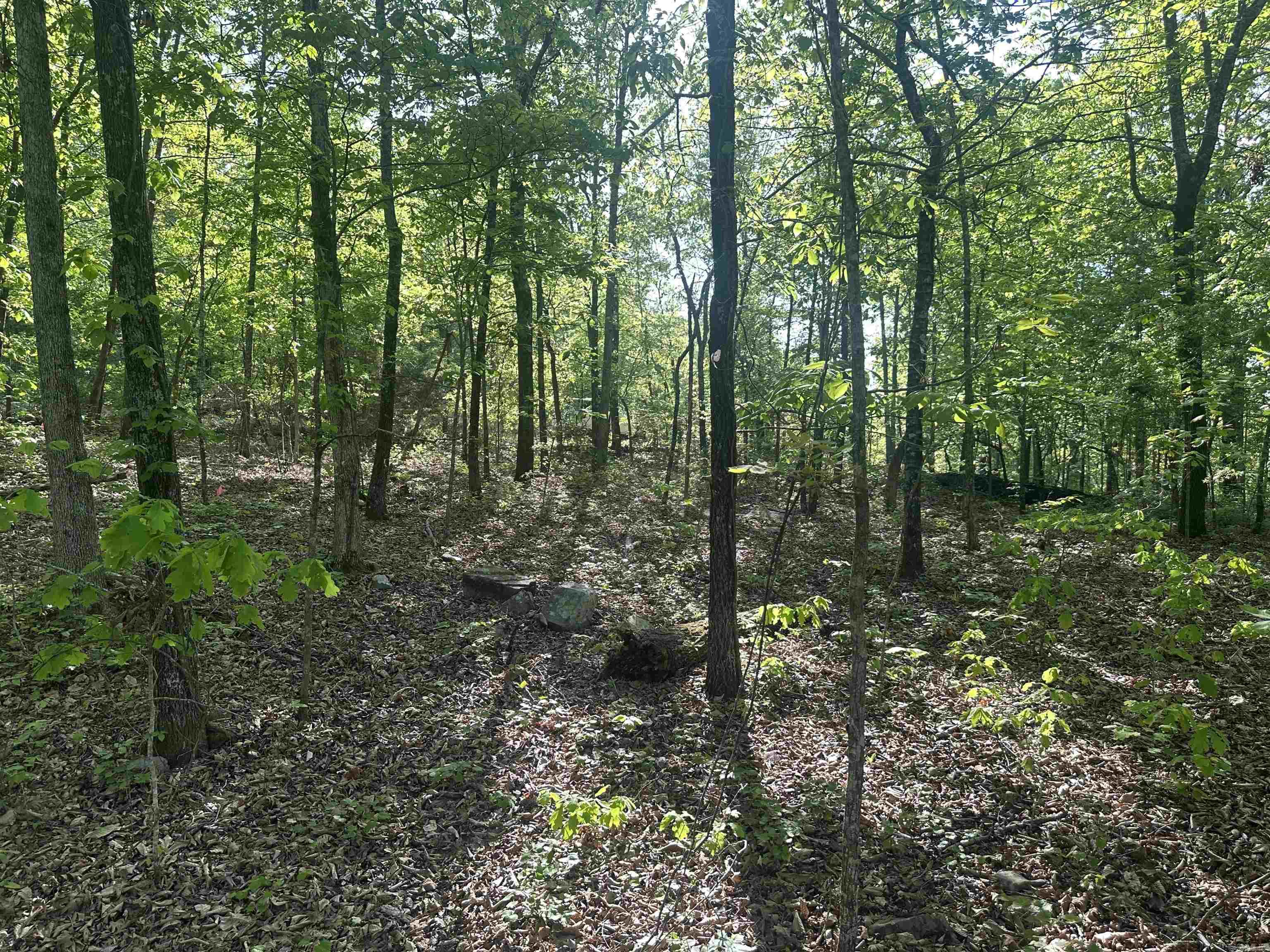 Round Mountain Estates - Land