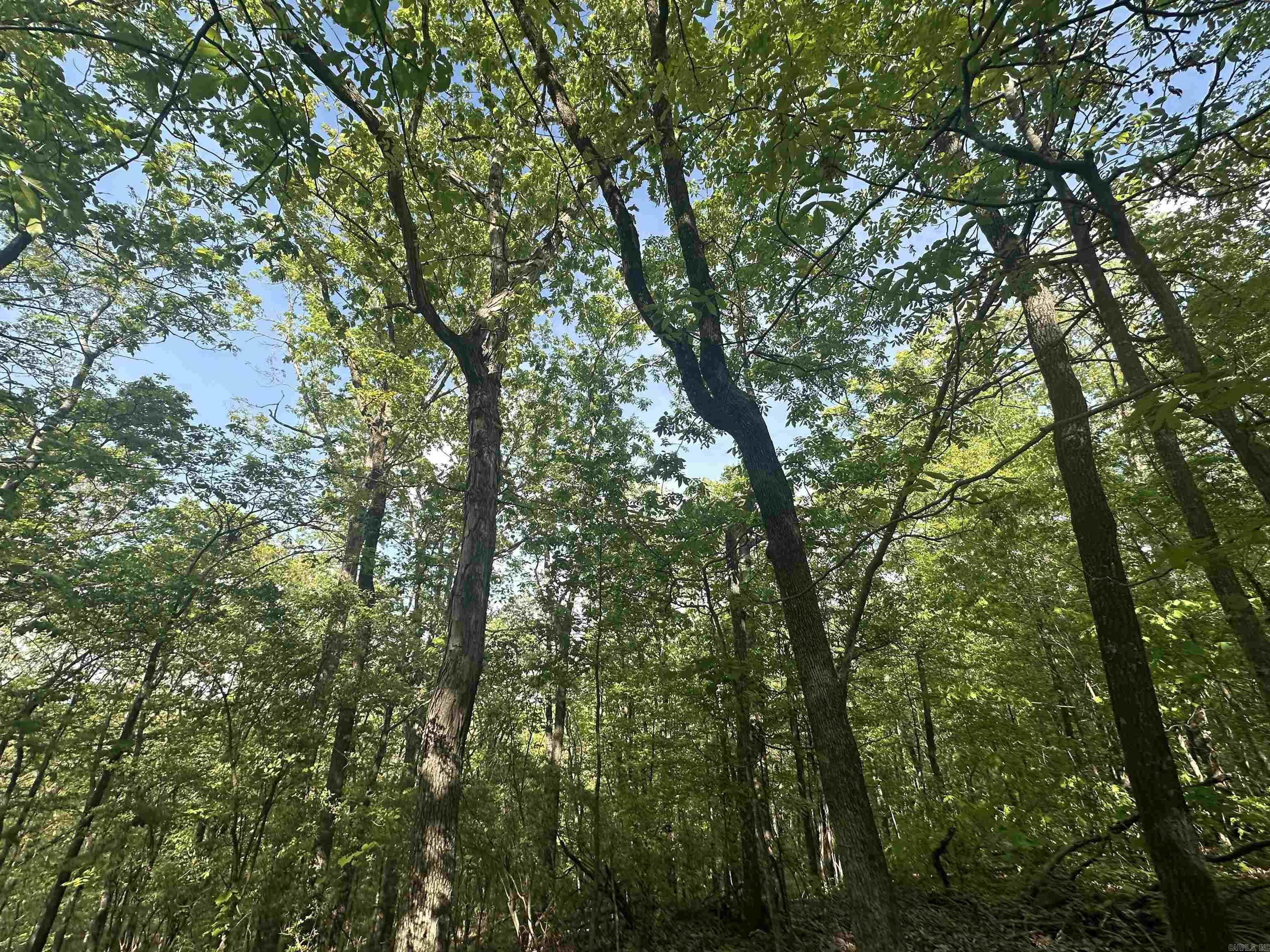 Round Mountain Estates - Land