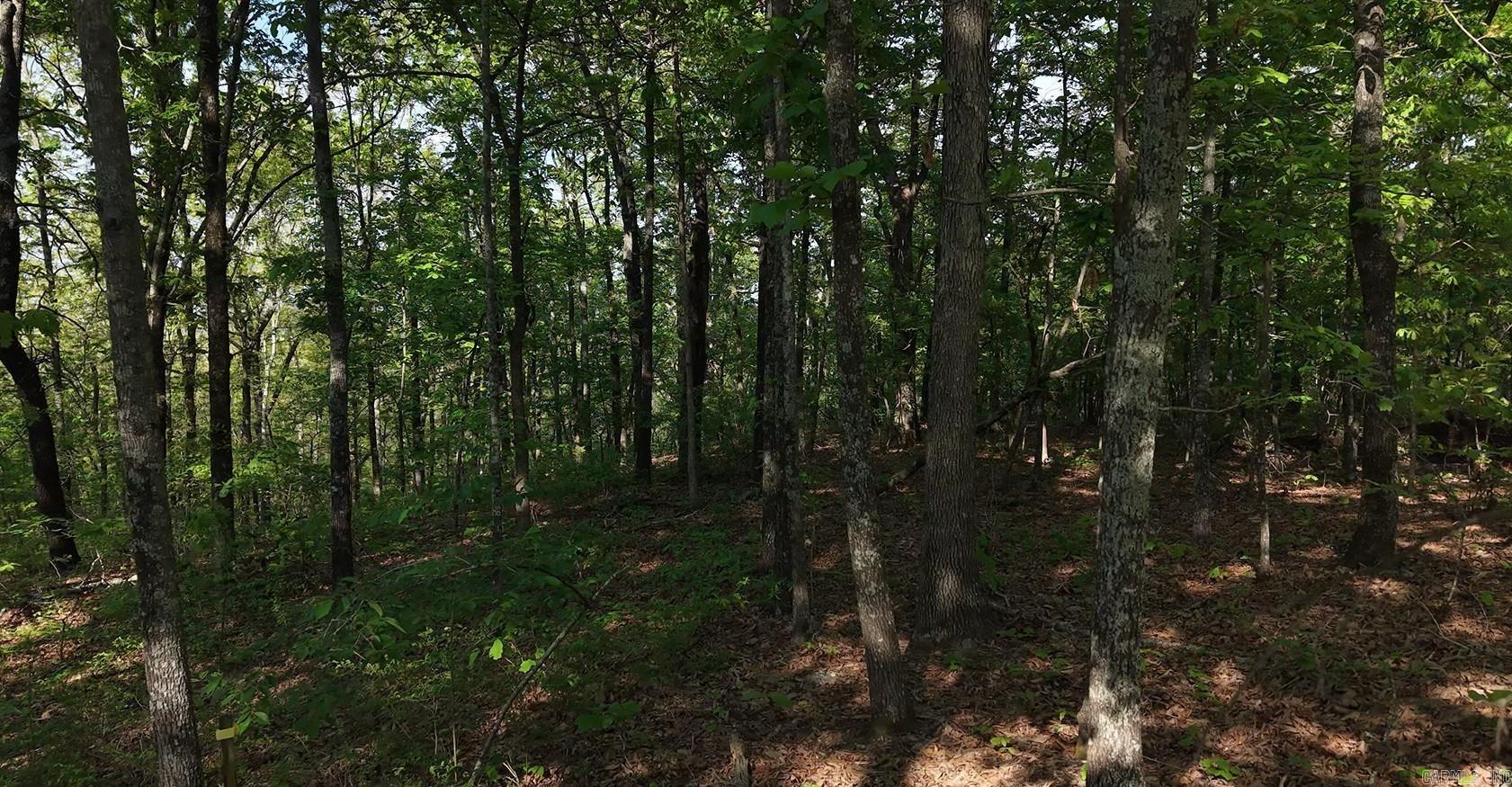 Round Mountain Estates - Land