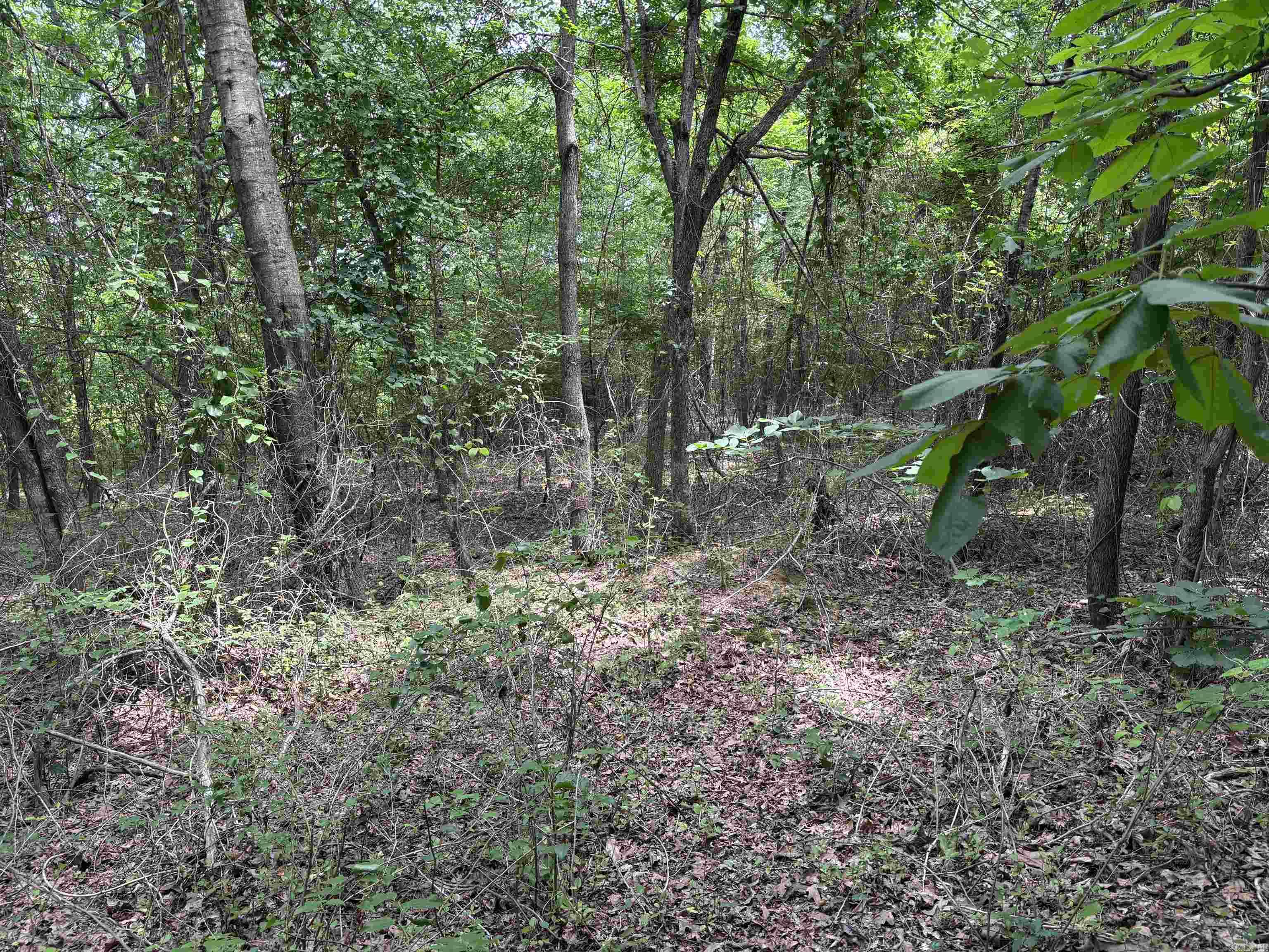 Here is a great Deer/Timber/Duck hole in Lincoln county Arkansas. Great area to hunt and ride ATV on. Beaver infestation has created a huge bog on this property with high ground located on James Fuller Road. Hardwoods, and pasture that has been let go for wildlife. Two roads on west and south side provide for a good boundary and access to most of thsi tract.