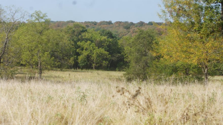 Explore a fantastic opportunity to own 92 acres, more or less, of prime Ozark land that perfectly balances agricultural use with recreational enjoyment. This diverse property features approximately 50 acres of pasture, complete with rich creek bottom soil ideal for livestock or making hay. A year-round creek meanders through the landscape, enhancing the land's natural beauty and productivity. The remaining acreage is comprised of good timber, creating a haven for wildlife and offering scenic views from several vantage points on the property. This tract is a paradise for any outdoor enthusiast. With excellent hunting conditions and a tree stand already on the property, you can be ready for this fall's hunting season immediately. For those dreaming of building a private homestead or a weekend getaway cabin, the potential is immense, with electricity located close to the property. There is an easement to get to the property (see attached). Whether you're seeking a working farm, a premier hunting retreat, or the perfect setting to build your future, this property offers endless possibilities.