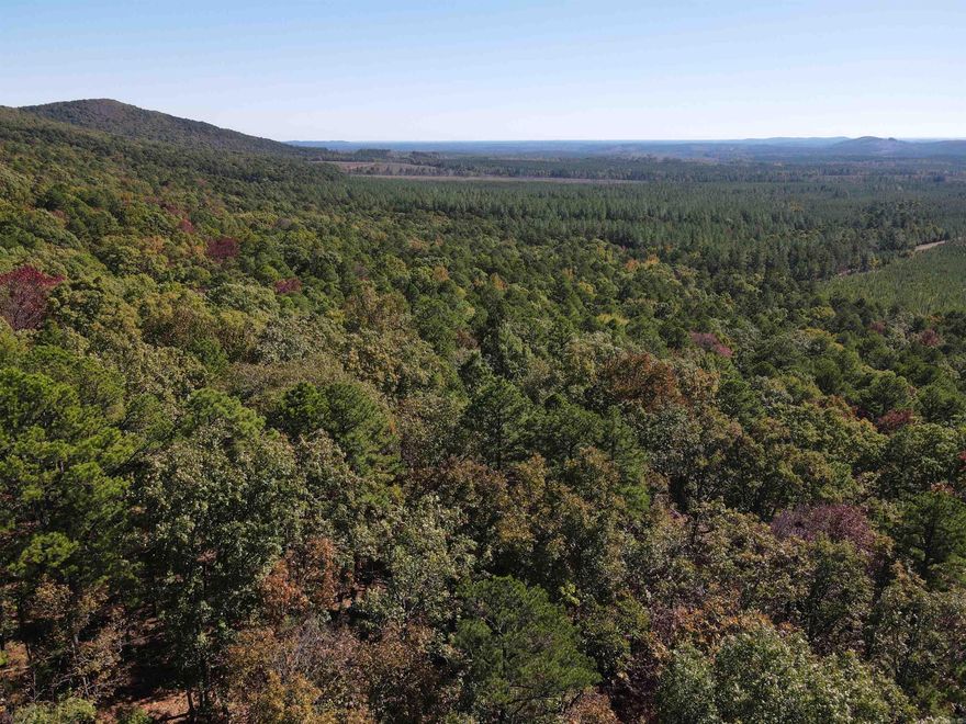 Game galore! A variety of wildlife calls this secluded 148 acre tract home with a population that includes deer, turkey, small game and bear. The north side of the property adjoins the Ouachita National Forest & Winona Wildlife Management Area. The acreage consists mostly of pine & hardwood, has a pond on the west boundary, and offers various elevations. The hunters paradise is approximately 45 minutes to Hot Springs and about an hour to Benton. Contact agent for more information.