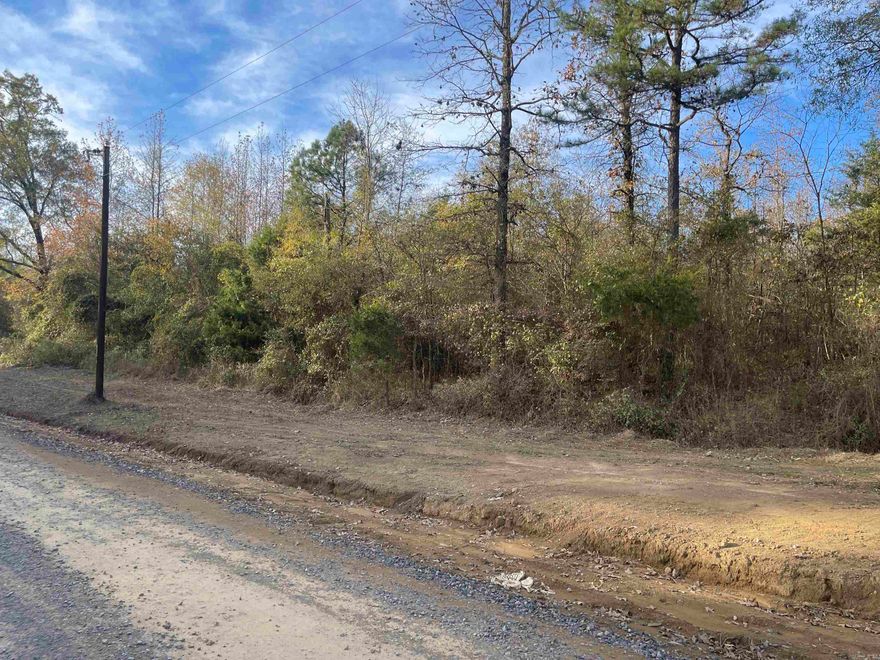 40 +/- acres just Wet of the Cadron Creek on the North side of Shaw Bridge Road. Mixed cleared and timbered raw land. There are two easements on the property on the East side from Shaw Bridge to the parcel on the North side. Fiber Optic has been installed but is not yet operational.