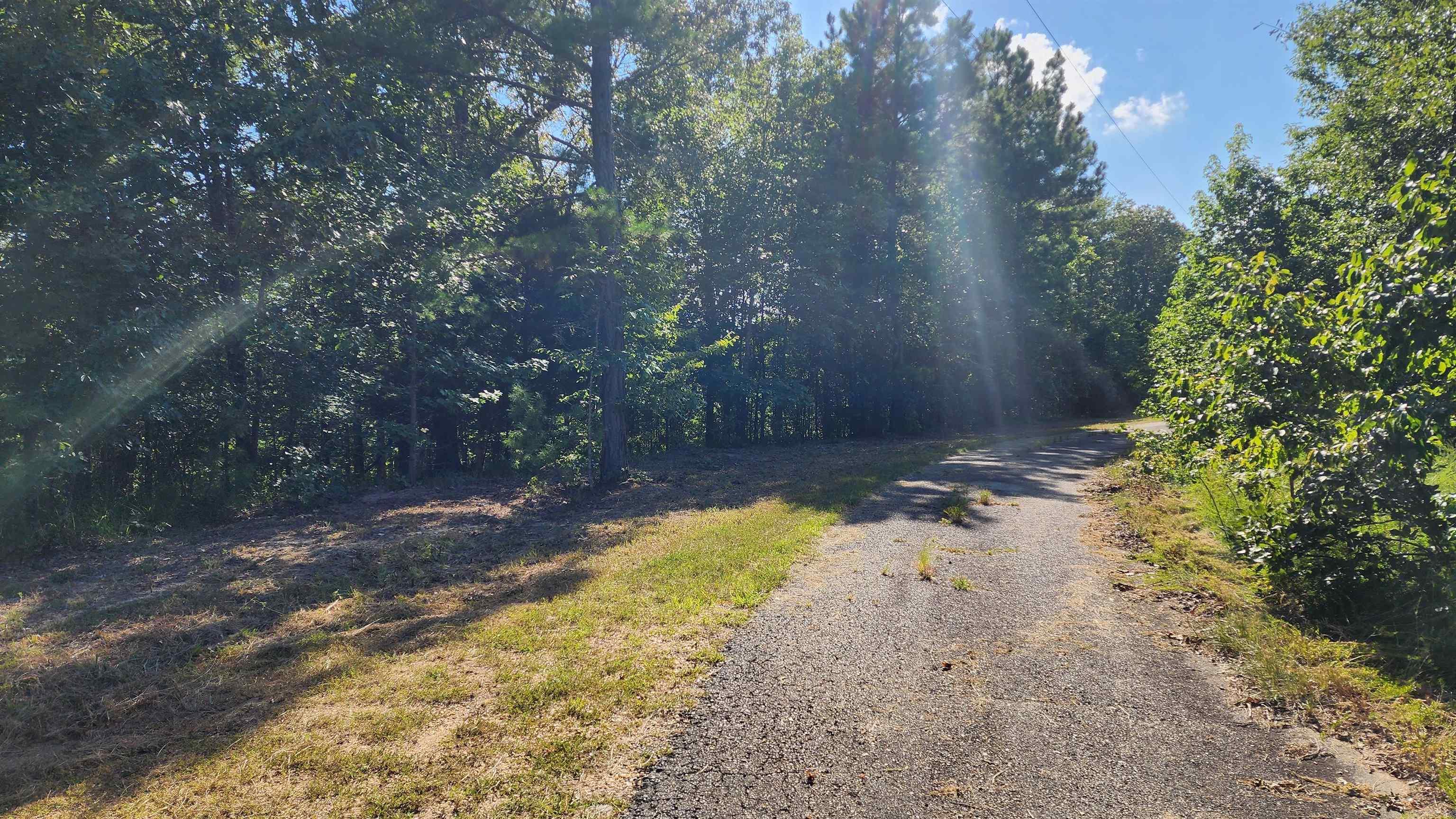 Discover the potential of Lot #7 in Lakeside Mountain, a gated, scenic community in Pulaski County. Located on Oversprings Drive in Alexander, this beautiful lot has already been thoughtfully prepared with a cleared driveway and two building pads - one for your future primary home and another ideal for a shop, guest house, or secondary structure. Surrounded by mature trees and gentle elevation, the property offers both privacy and natural beauty. With underground utilities at the road and paved access throughout the neighborhood, it's ready for your vision. Features gated community with light restrictions. Conveniently located between Little Rock and Benton. Agents see remarks.