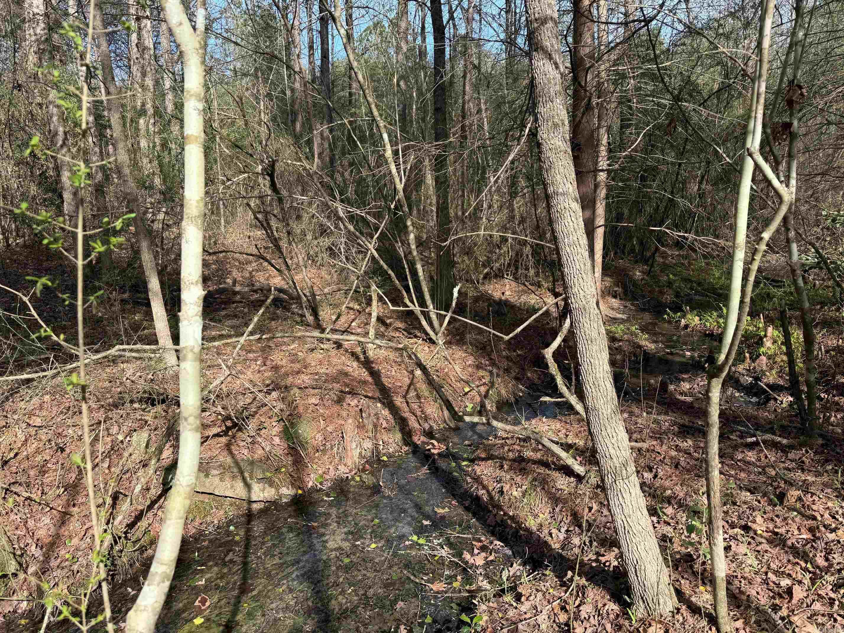 Metes & Bounds - Land